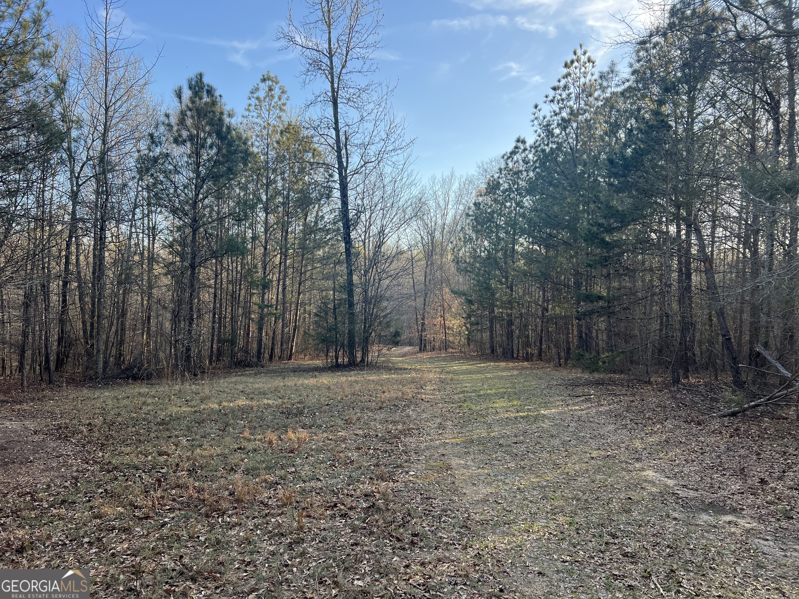 8714 Highway 172 Comer GA 30629