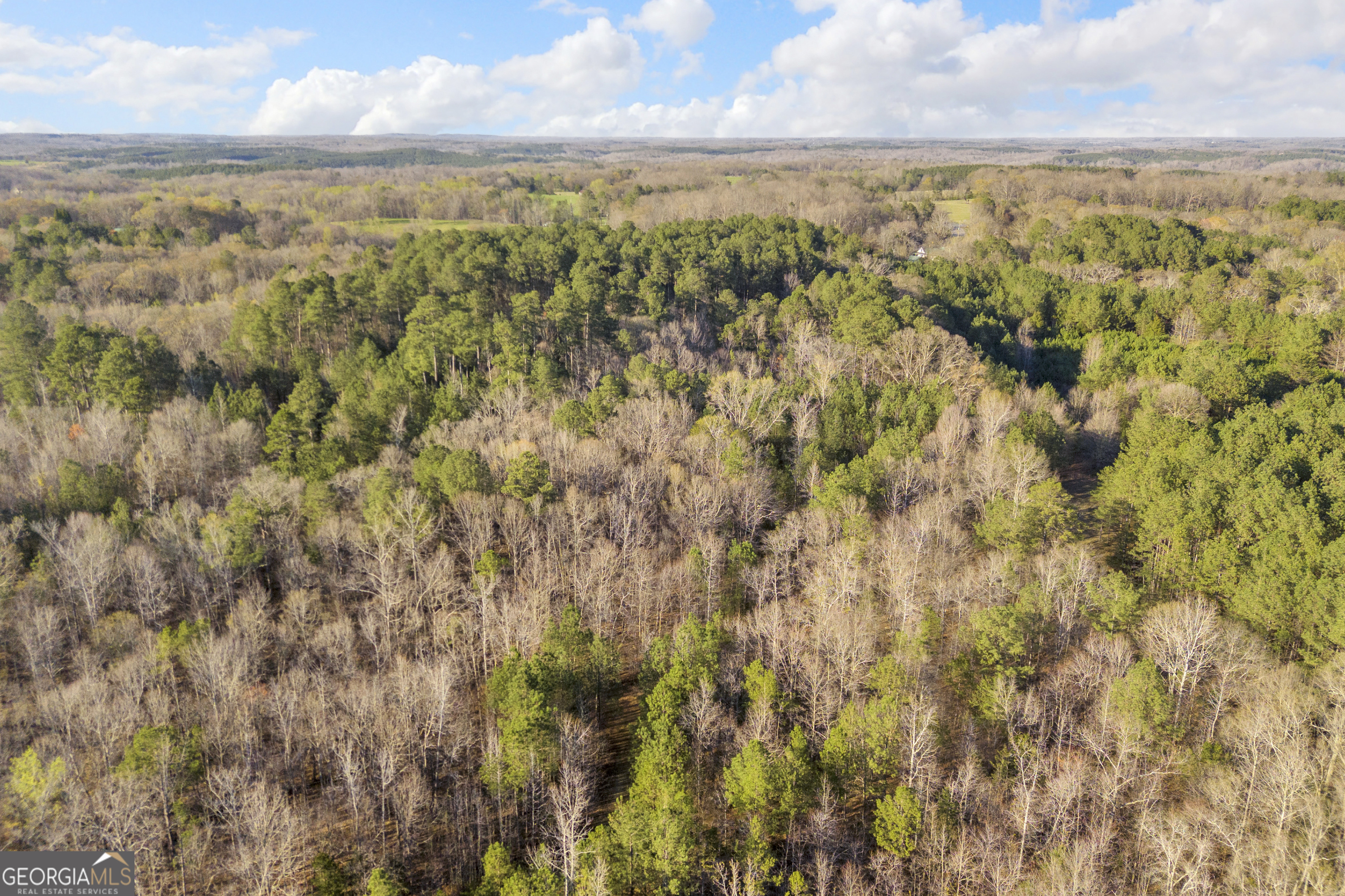 8714 Highway 172 Comer GA 30629