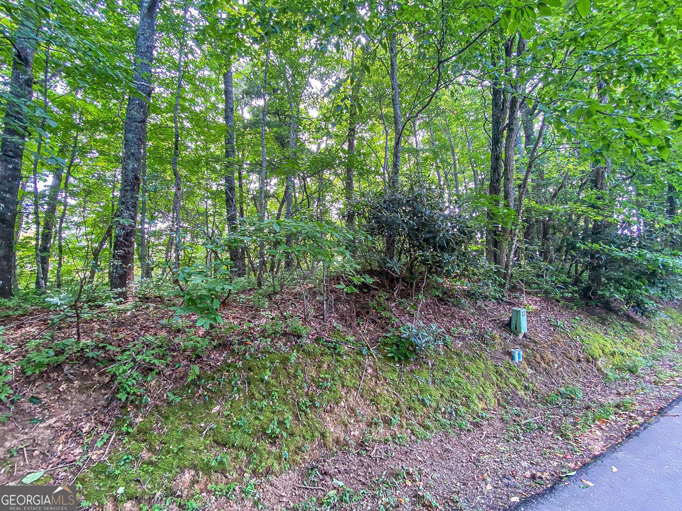Lot 1 Pleasant Mountain Drive Sky Valley GA 30537