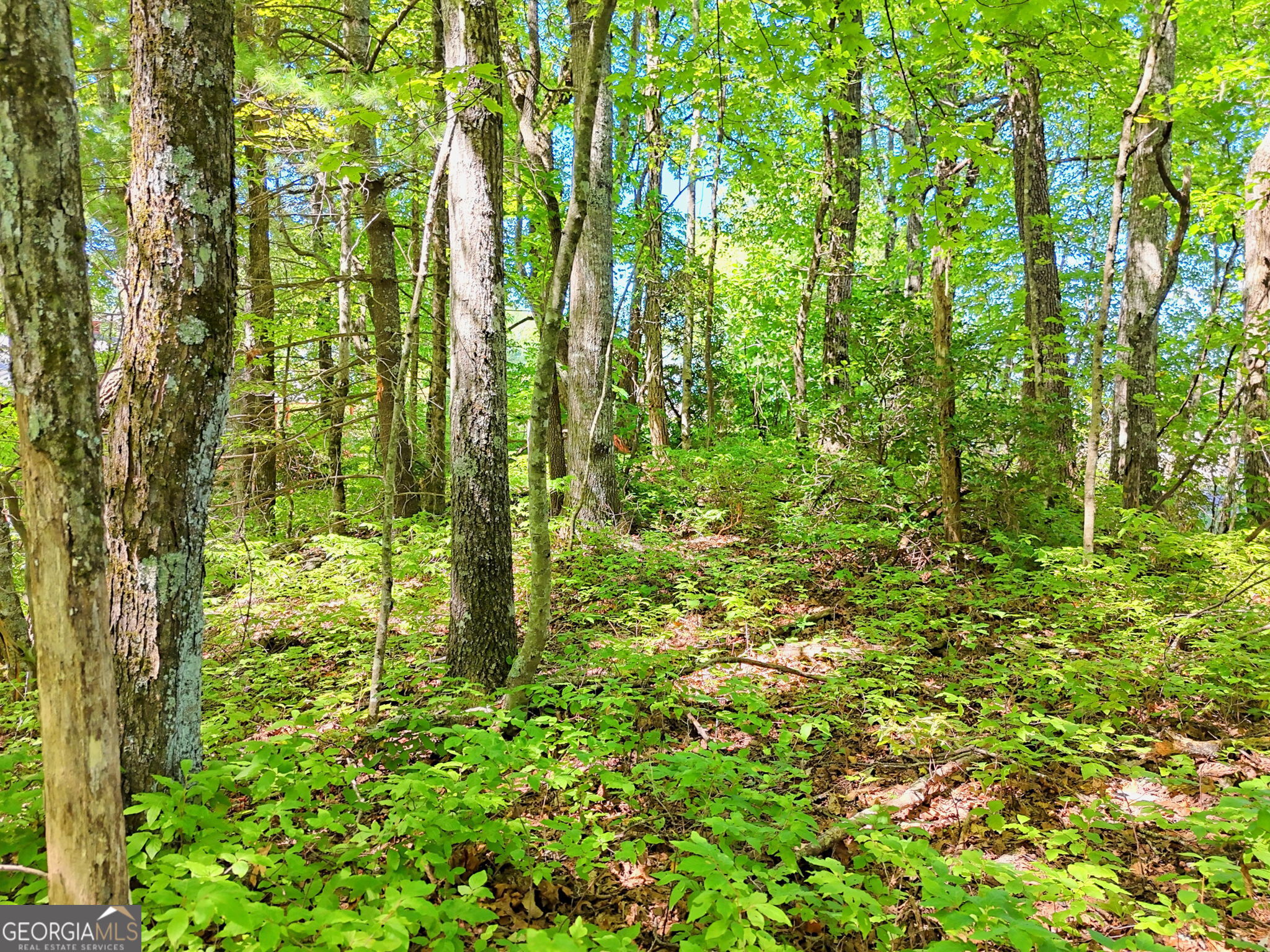 Lot 1 Pleasant Mountain Drive Sky Valley GA 30537