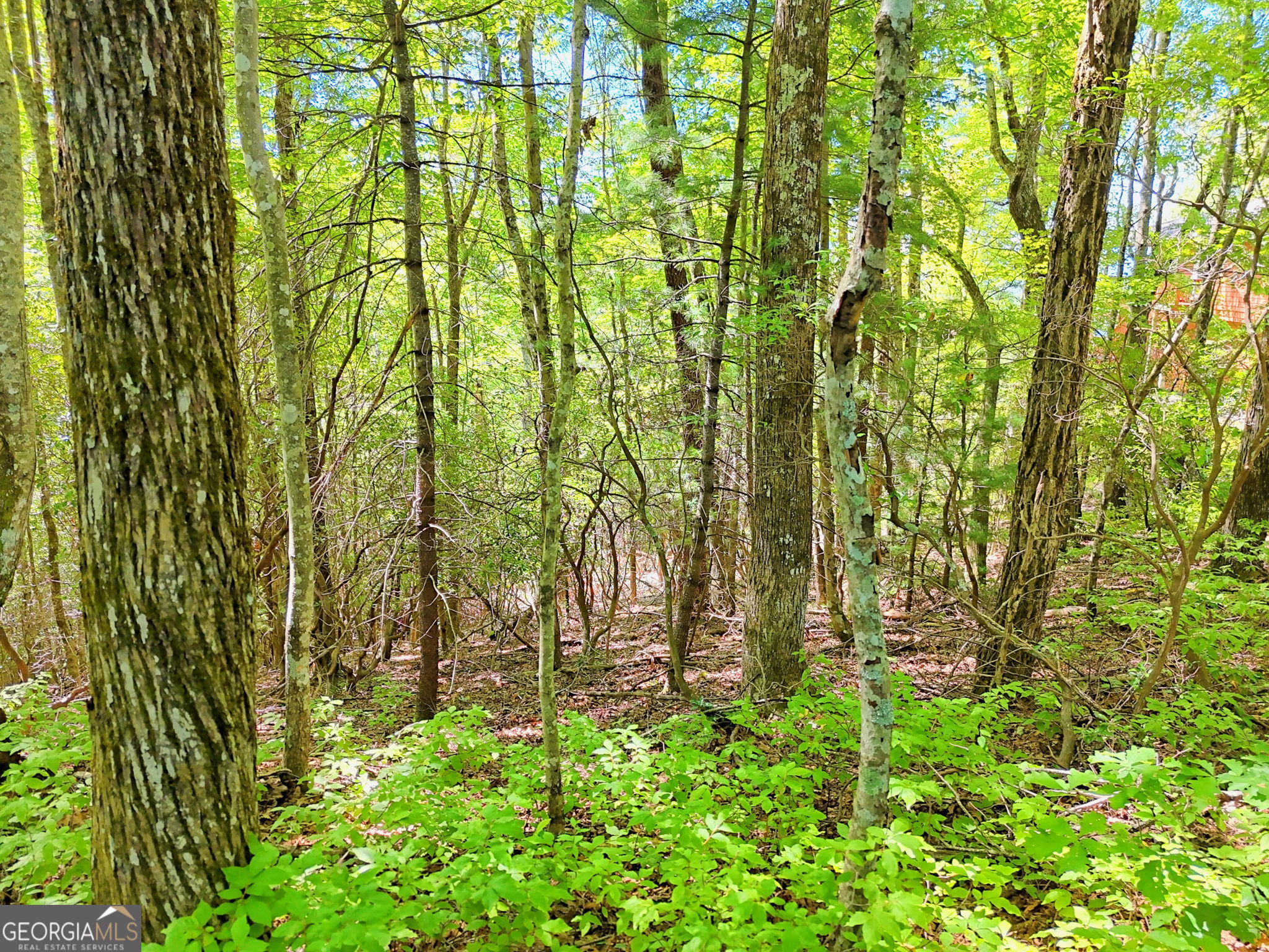 Lot 1 Pleasant Mountain Drive Sky Valley GA 30537