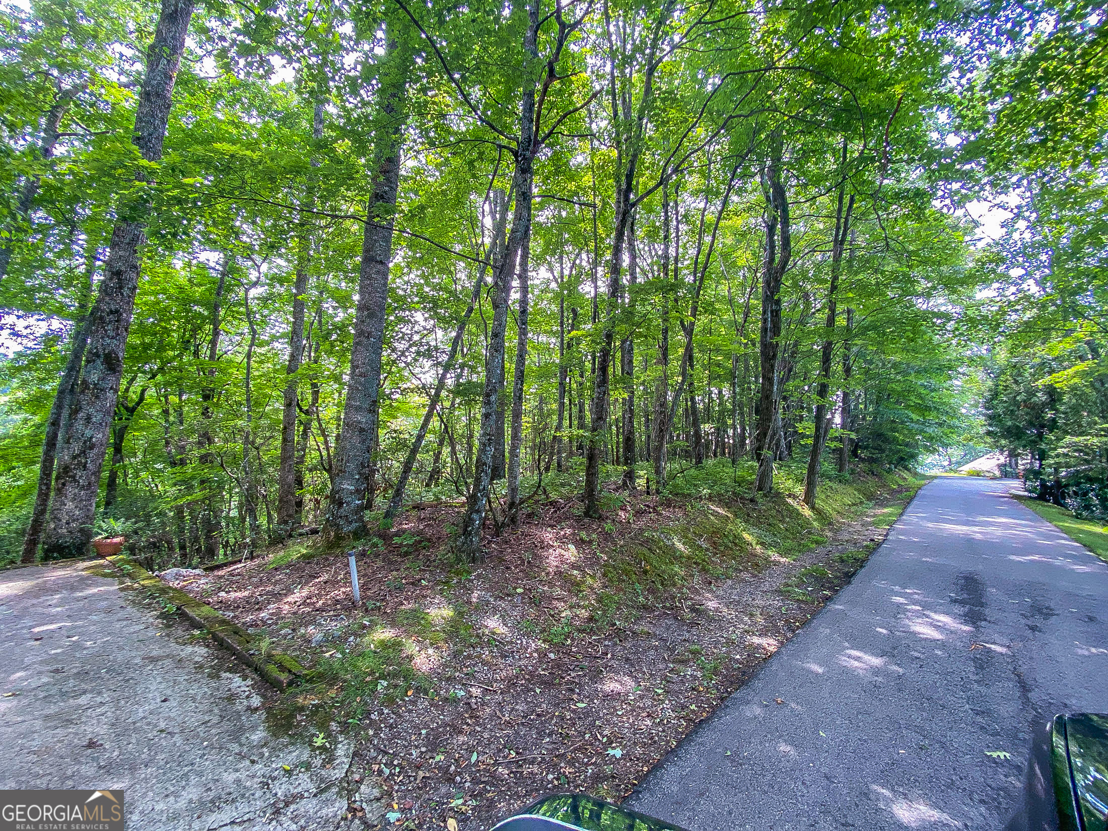 Lot 1 Pleasant Mountain Drive Sky Valley GA 30537
