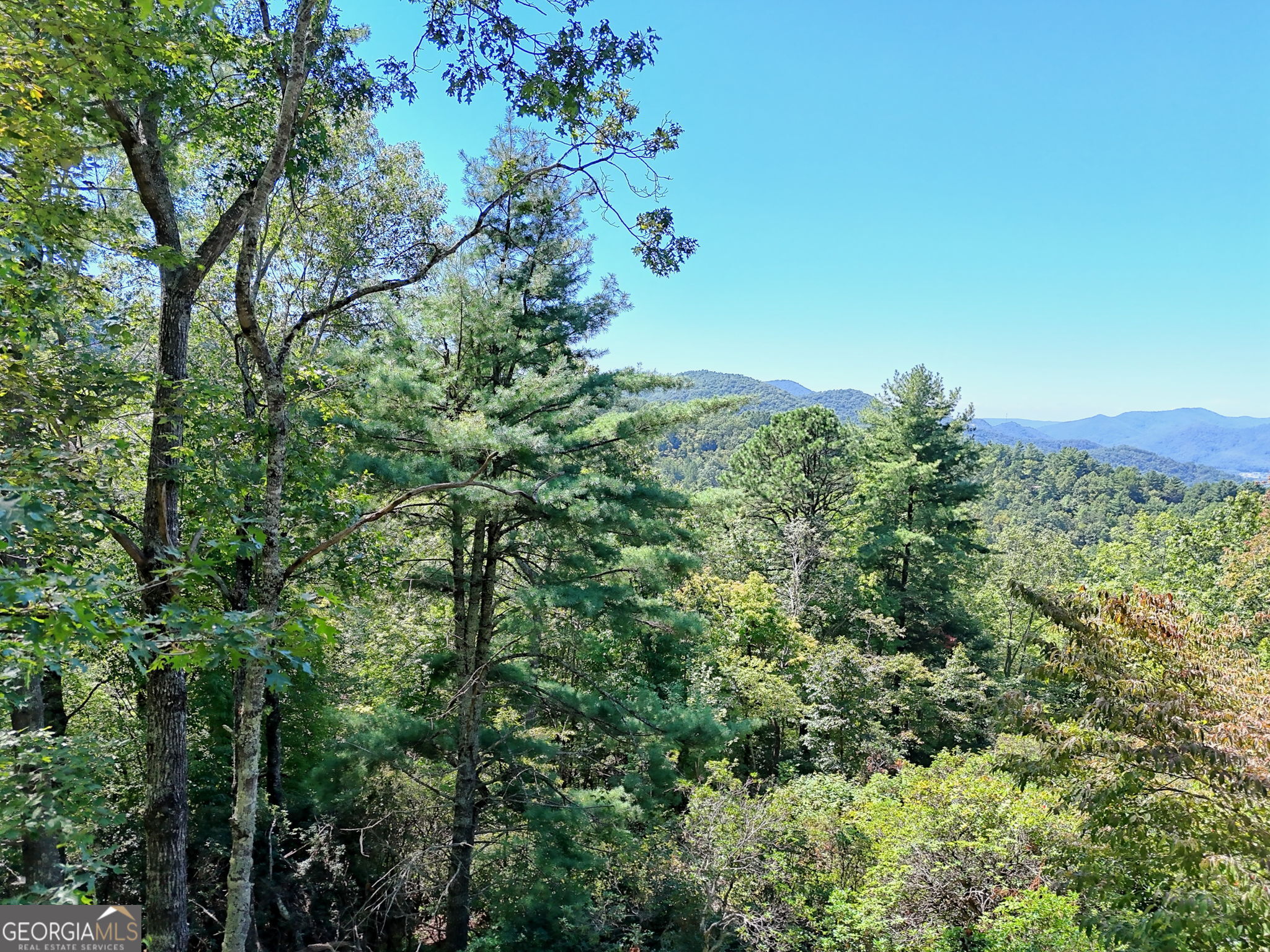 Lot 1 Pleasant Mountain Drive Sky Valley GA 30537