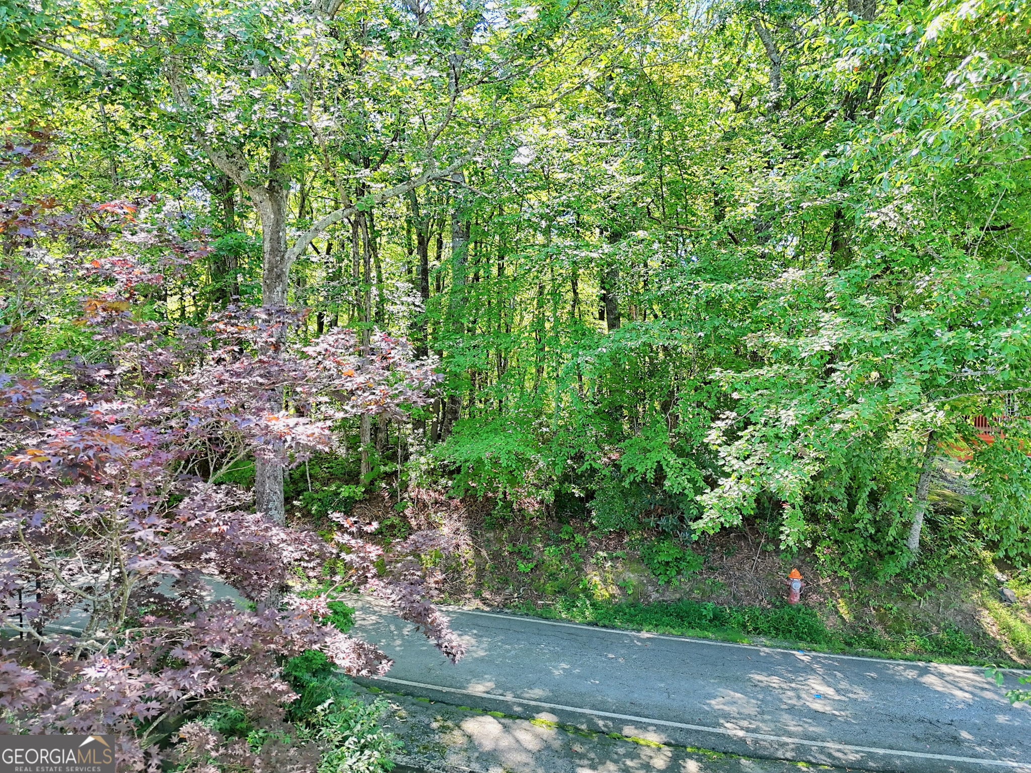 Lot 1 Pleasant Mountain Drive Sky Valley GA 30537