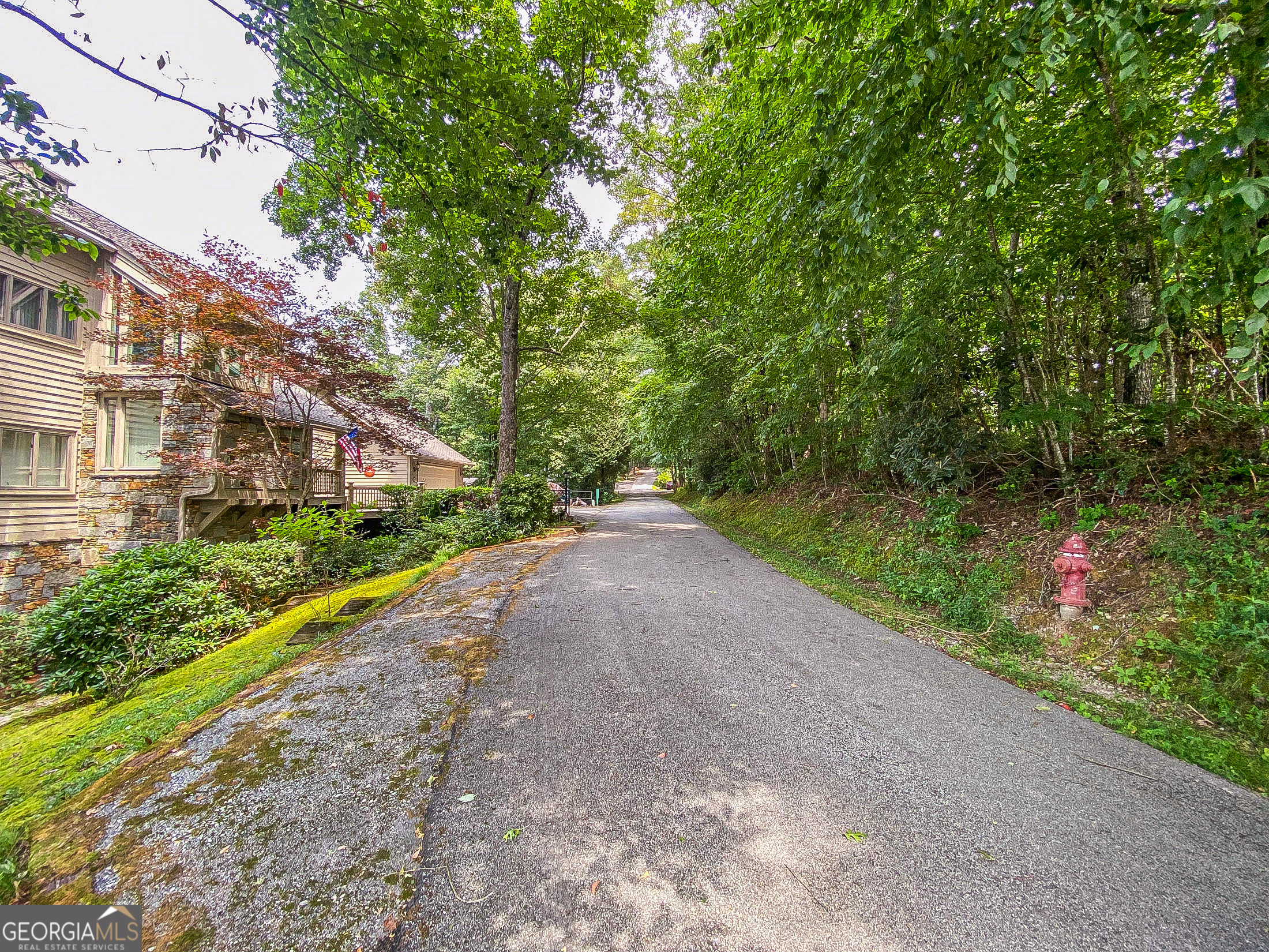 Lot 1 Pleasant Mountain Drive Sky Valley GA 30537