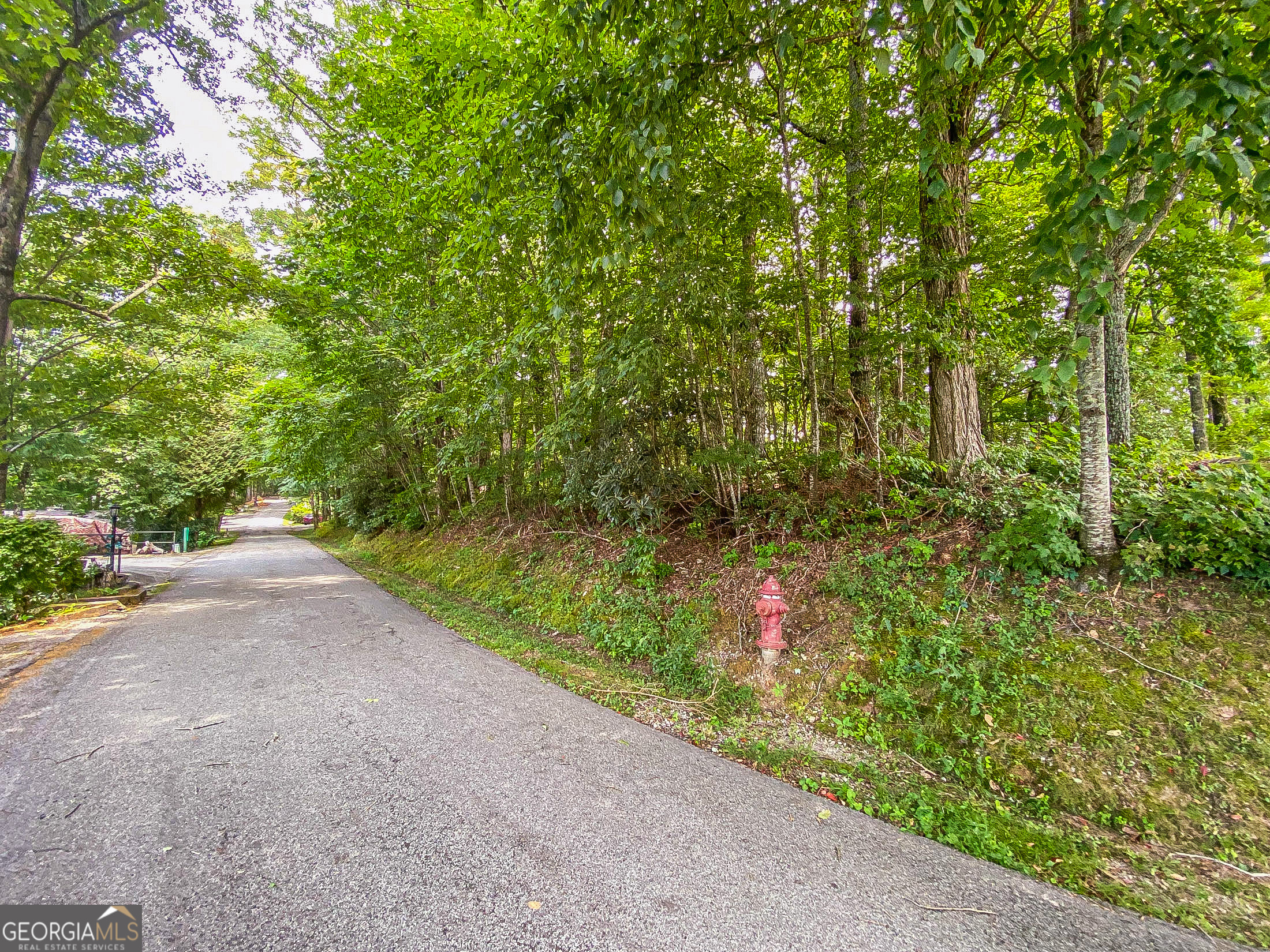 Lot 1 Pleasant Mountain Drive Sky Valley GA 30537