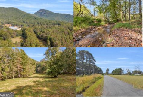 Tr 5 Turner Road Cleveland GA 30528