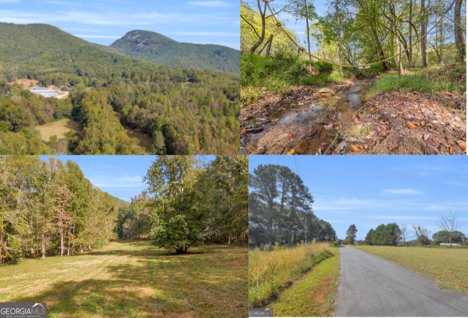 Tr 5 Turner Road Cleveland GA 30528