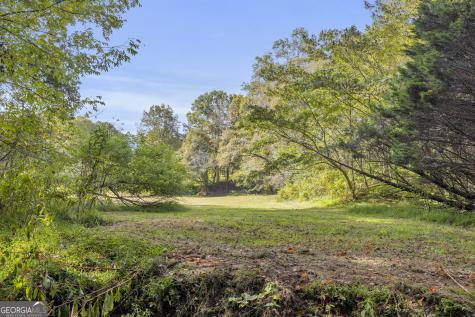 Tr 5 Turner Road Cleveland GA 30528