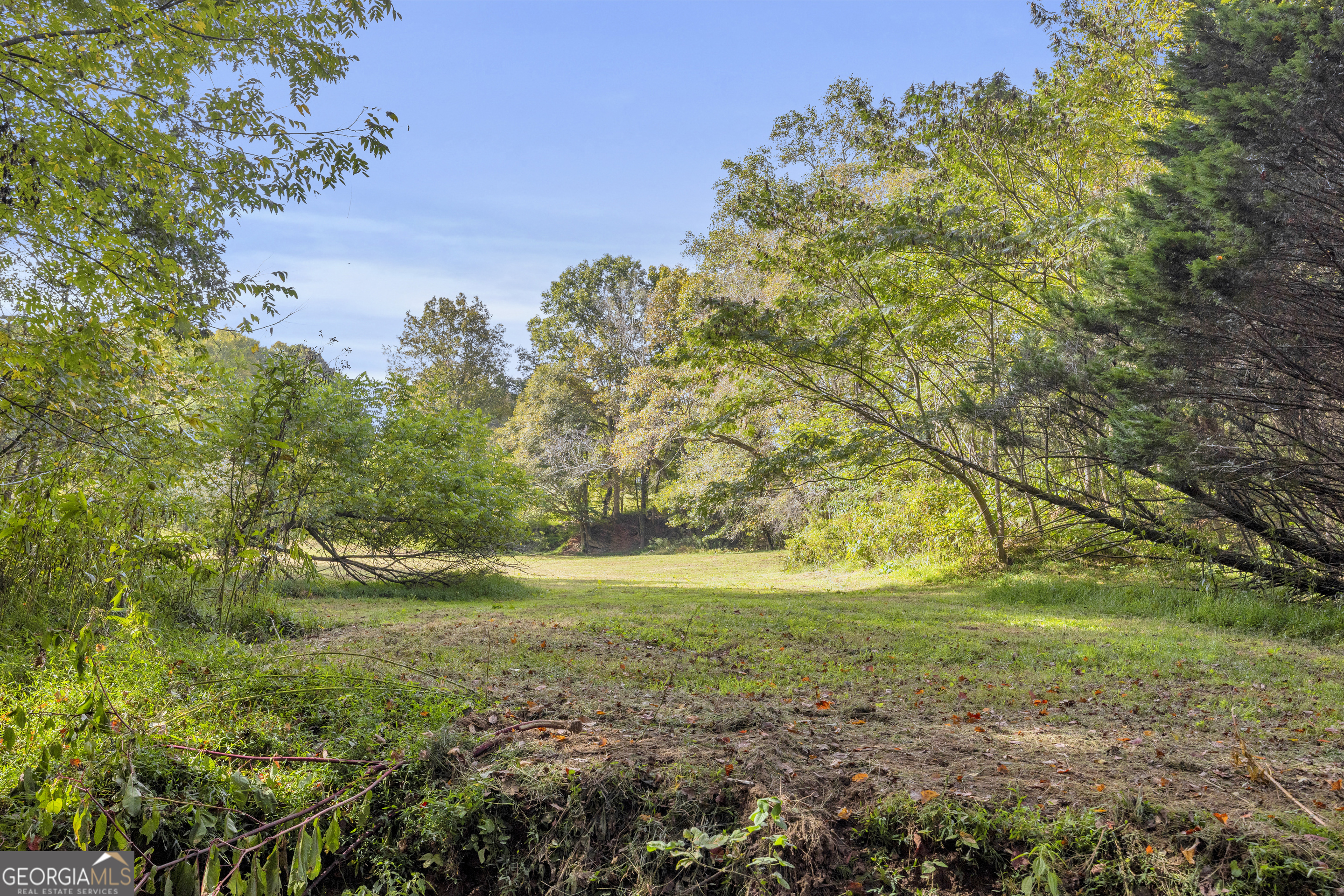 Tr 5 Turner Road Cleveland GA 30528