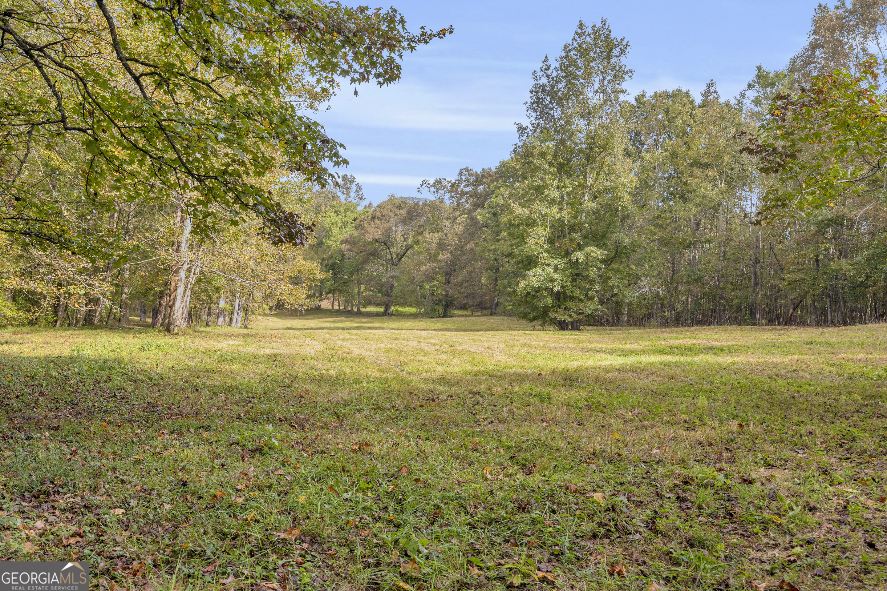 Tr 5 Turner Road Cleveland GA 30528