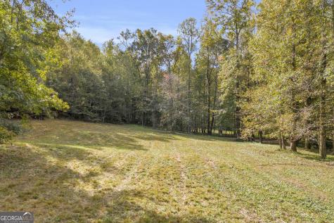 Tr 5 Turner Road Cleveland GA 30528