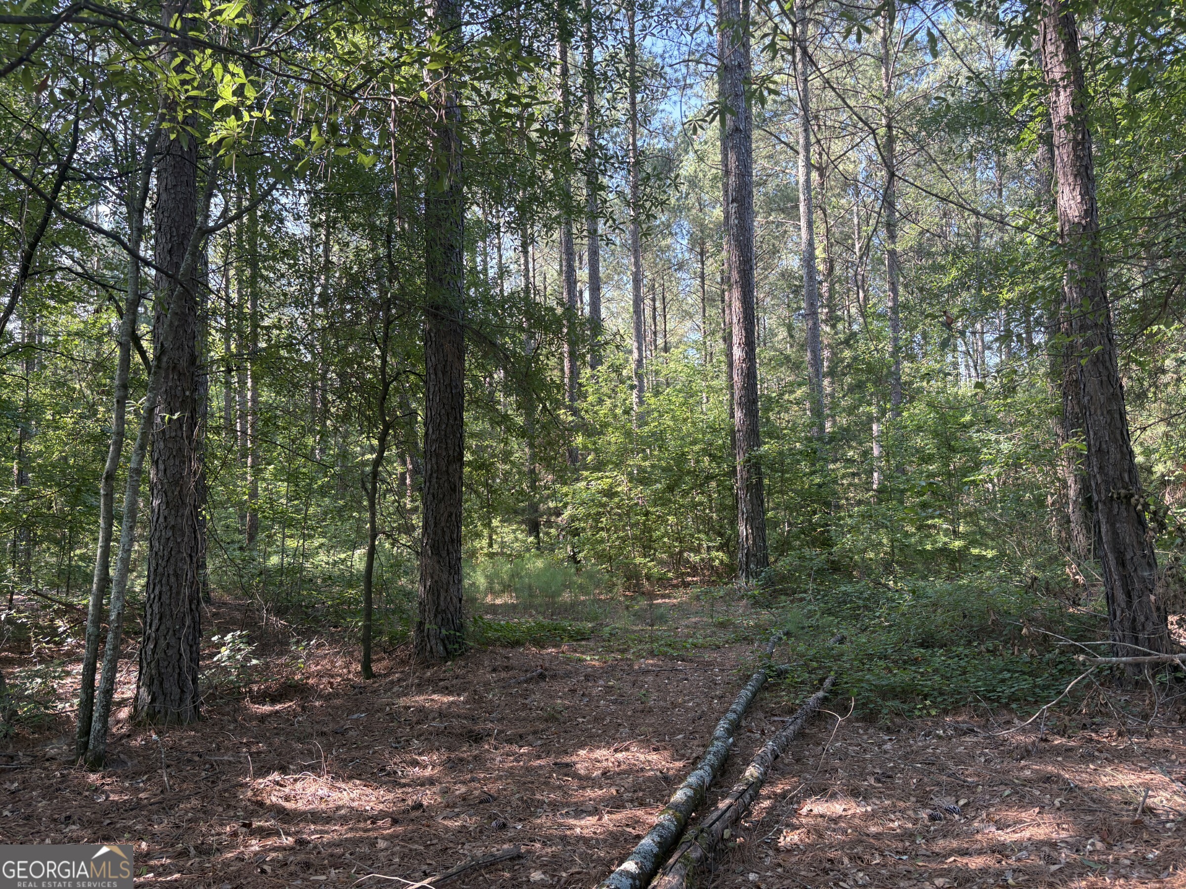 41 Elton Stewart Road Carlton GA 30627