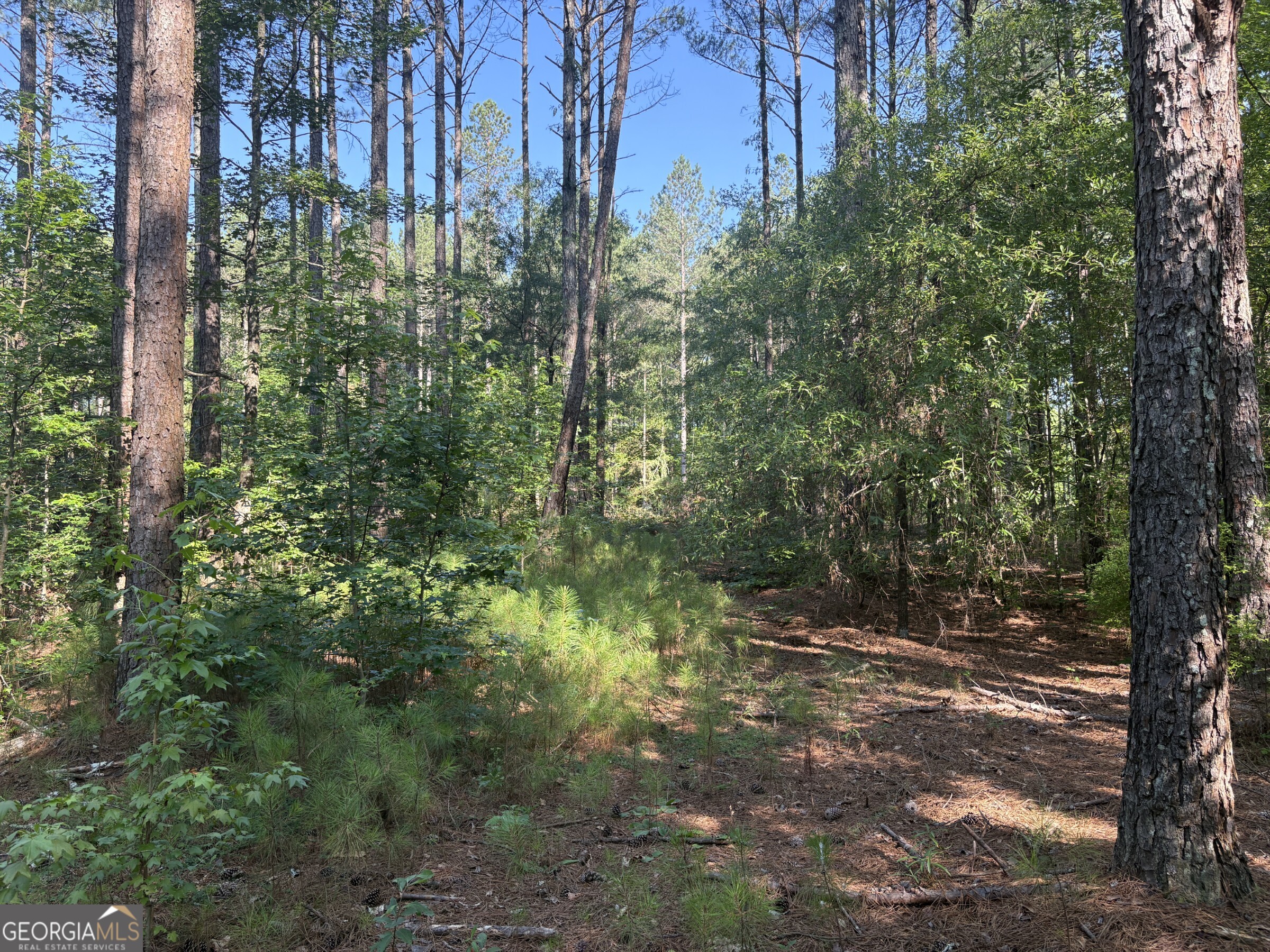 41 Elton Stewart Road Carlton GA 30627