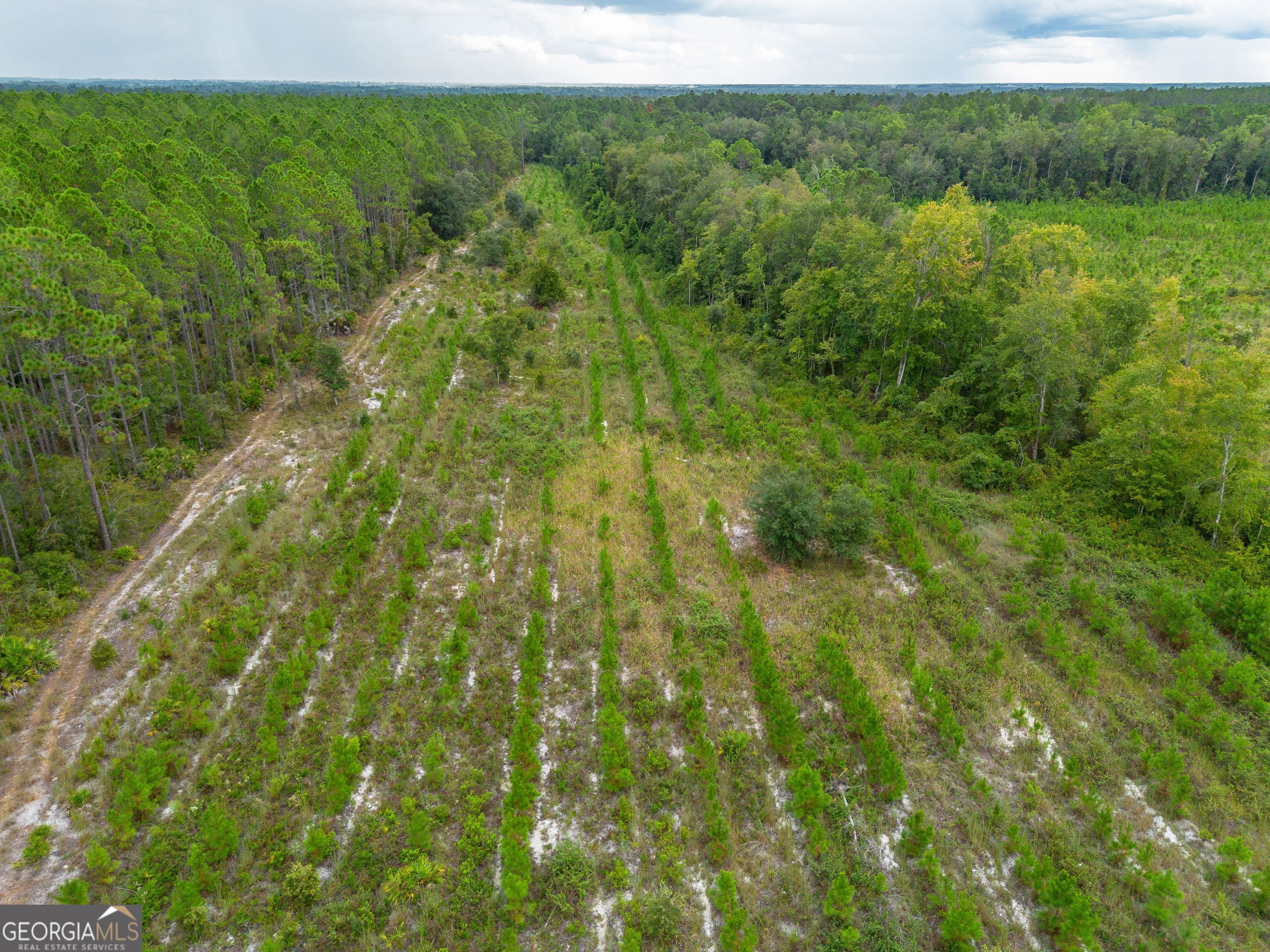 Tract 7 River Road Folkston GA 31537