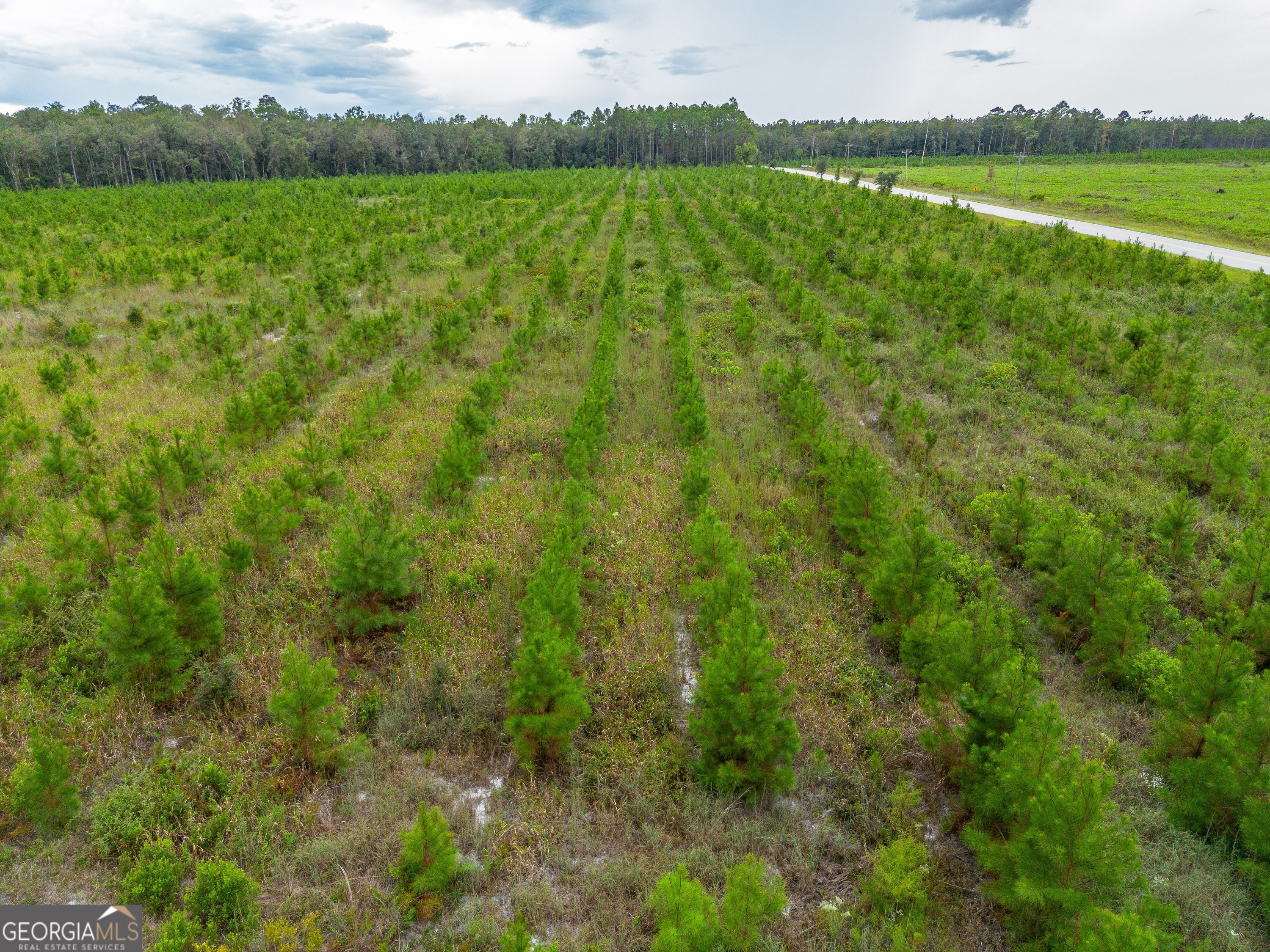 Tract 7 River Road Folkston GA 31537