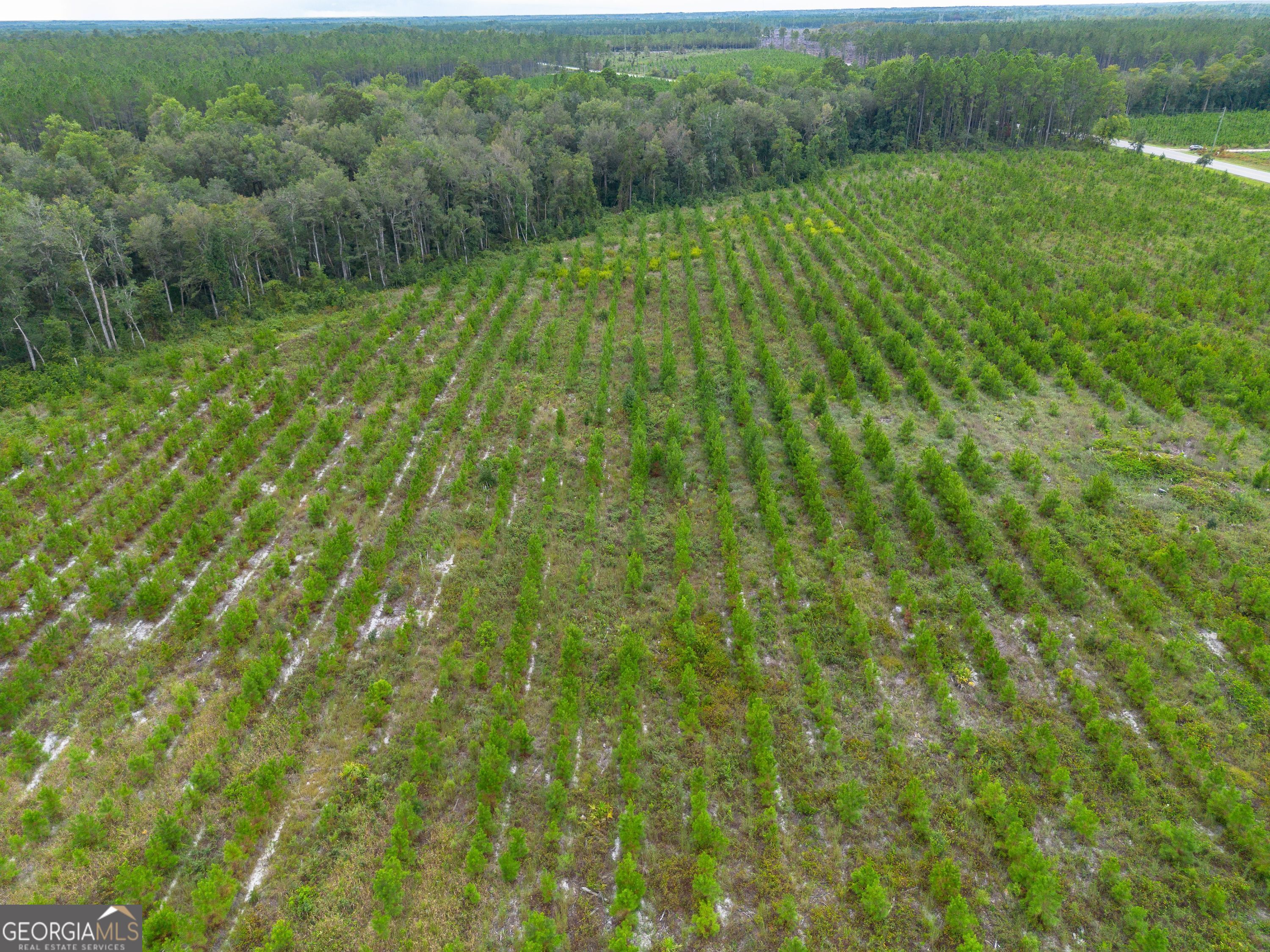 Tract 7 River Road Folkston GA 31537