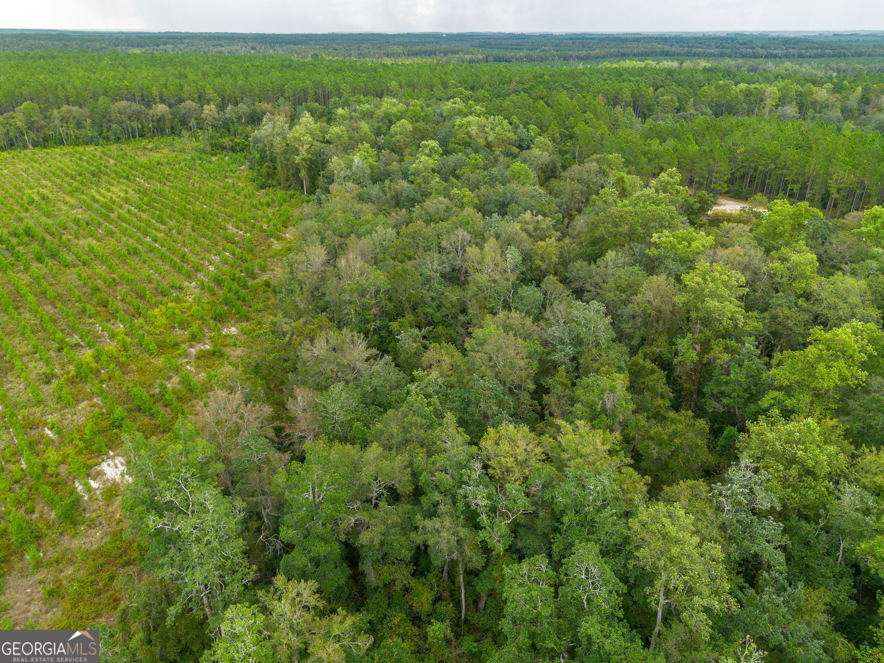 Tract 7 River Road Folkston GA 31537
