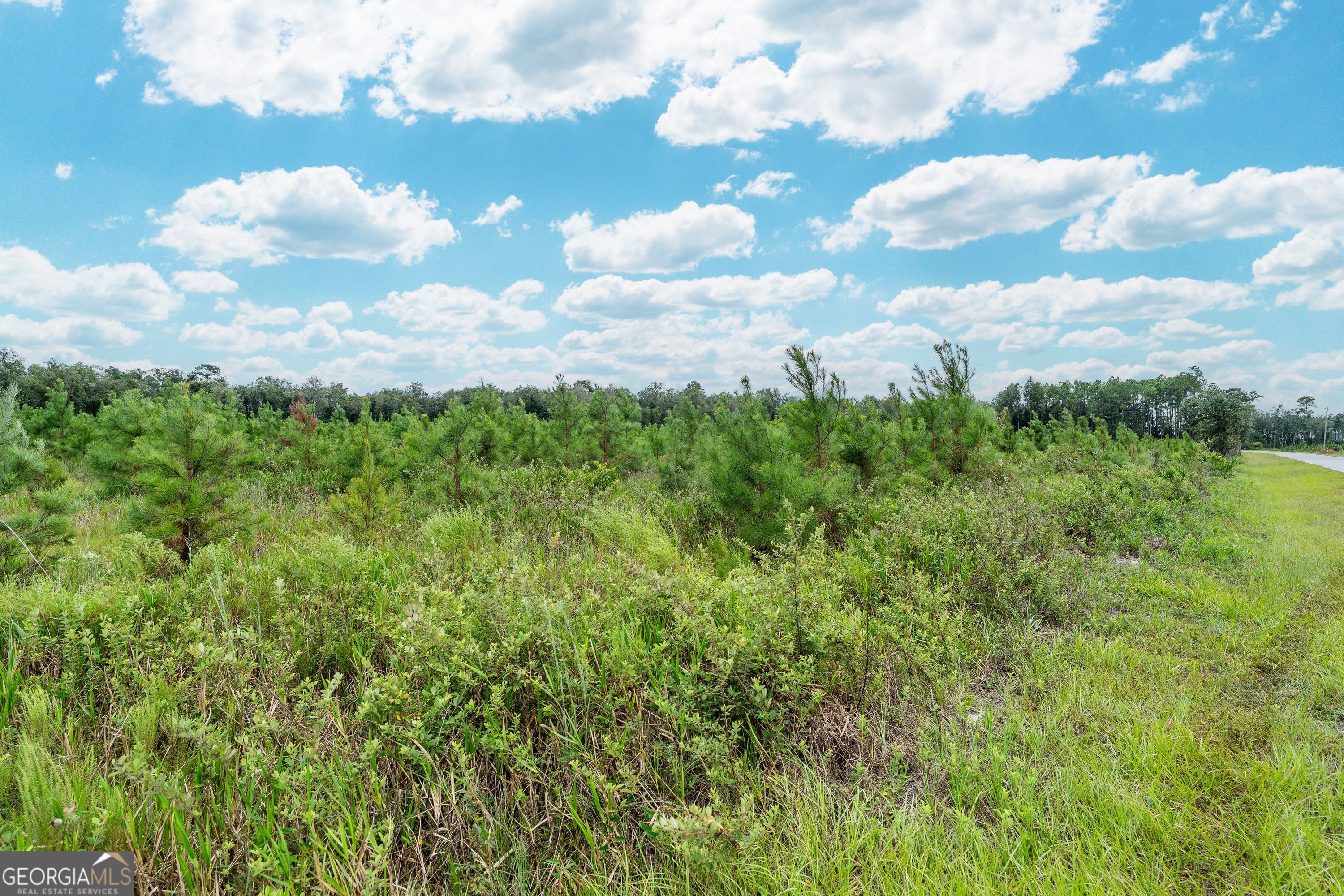 Tract 7 River Road Folkston GA 31537