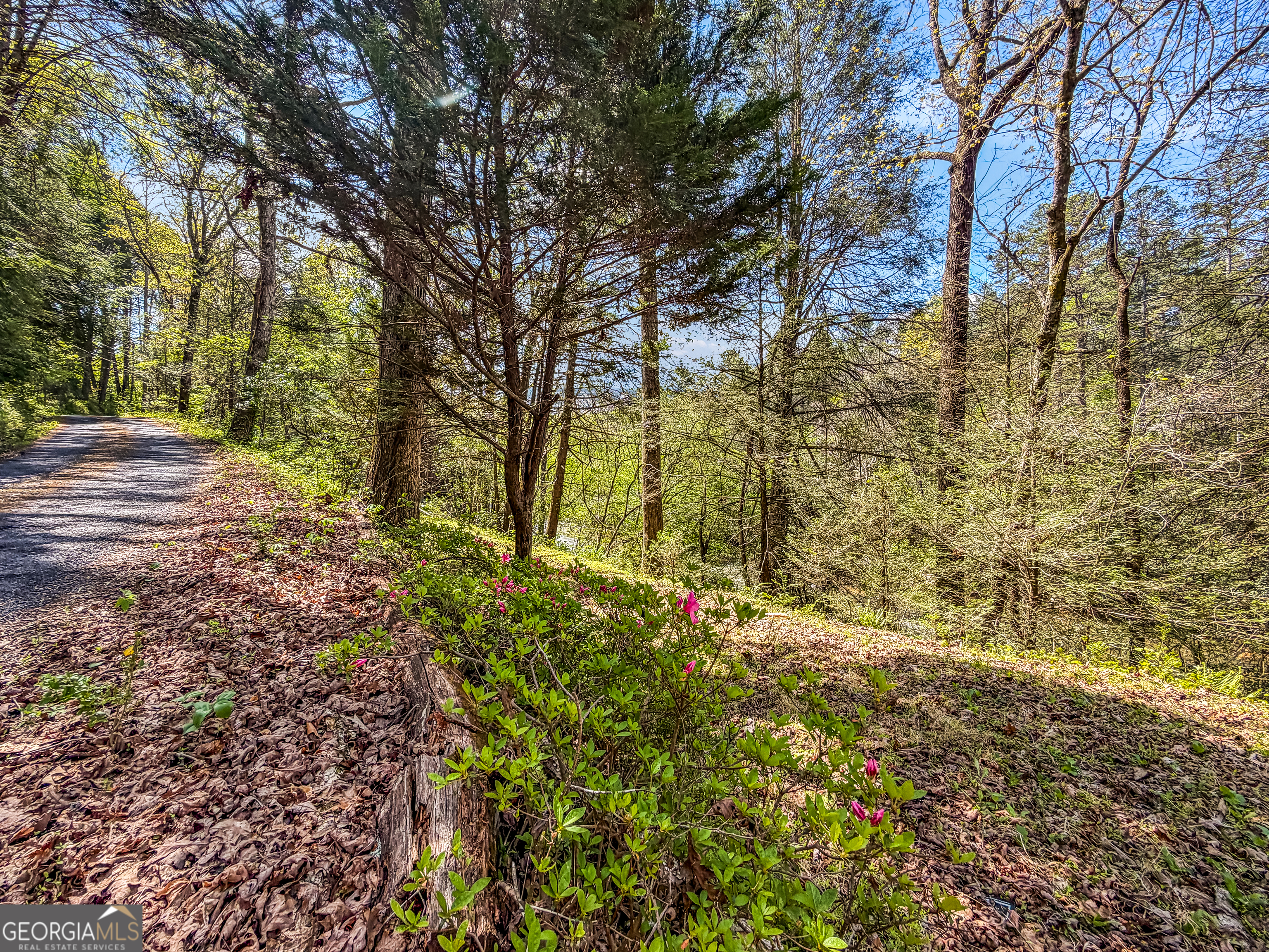80 Riverbend Circle Ellijay GA 30536