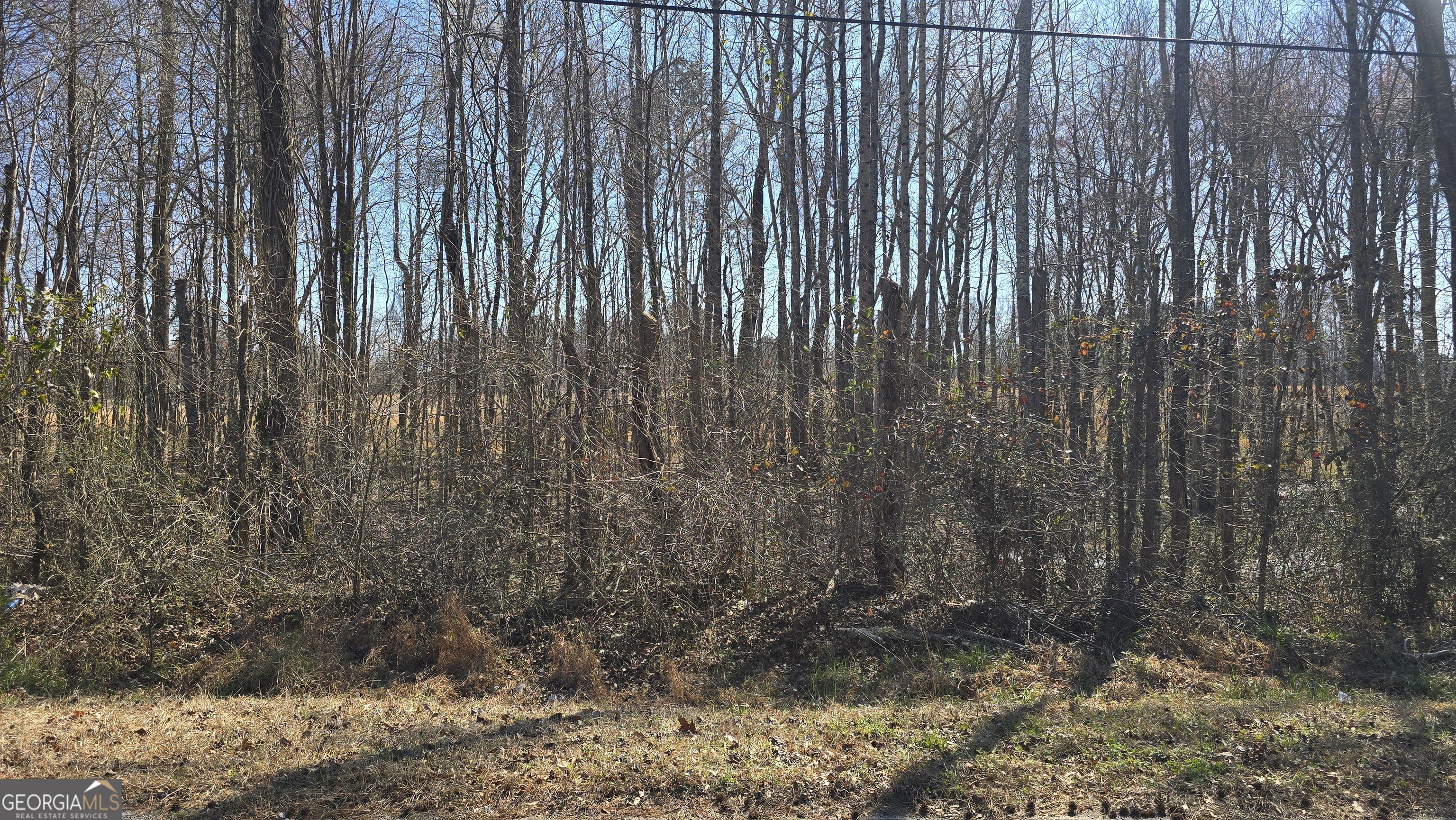 1110 Spring Creek Circle Griffin GA 30223