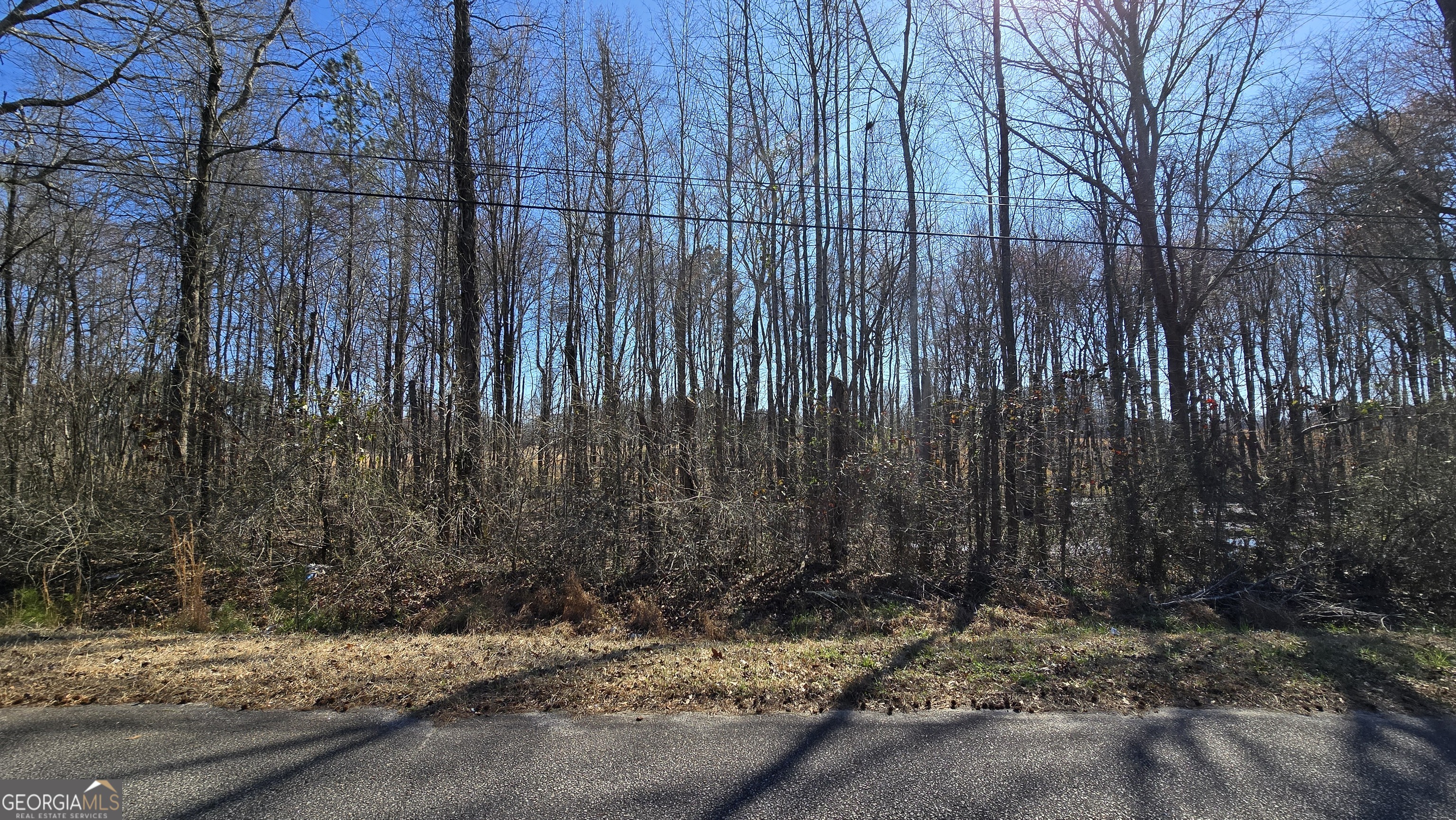 1110 Spring Creek Circle Griffin GA 30223