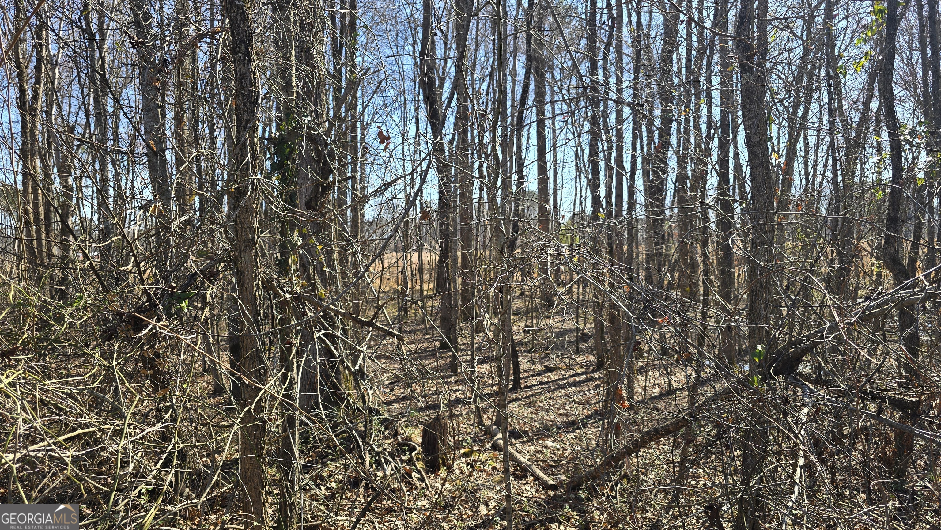 1110 Spring Creek Circle Griffin GA 30223