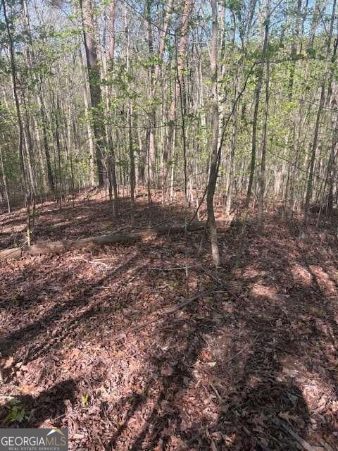 0 Heatherwood Way Talking Rock GA 30175