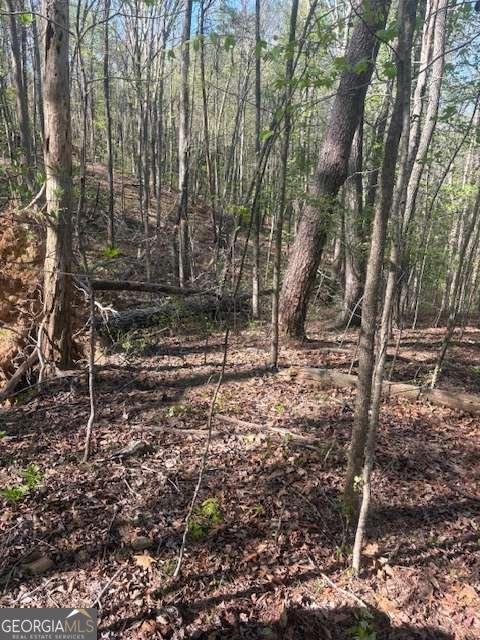 0 Heatherwood Way Talking Rock GA 30175