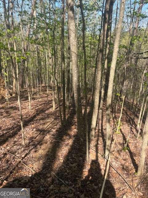 0 Heatherwood Way Talking Rock GA 30175