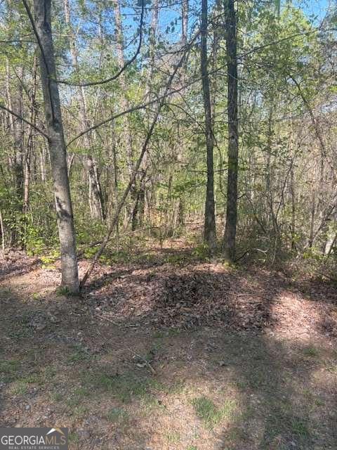 0 Heatherwood Way Talking Rock GA 30175
