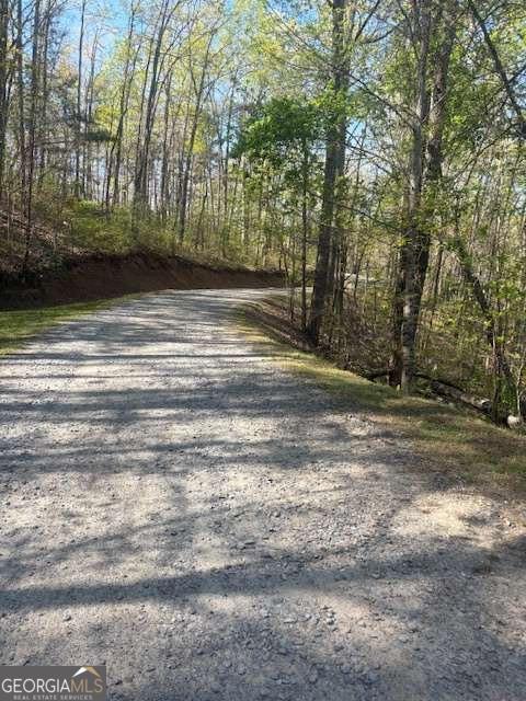 0 Heatherwood Way Talking Rock GA 30175