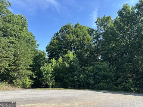 Lot 6,7,8,9,10 Clearview Drive Cleveland GA 30528