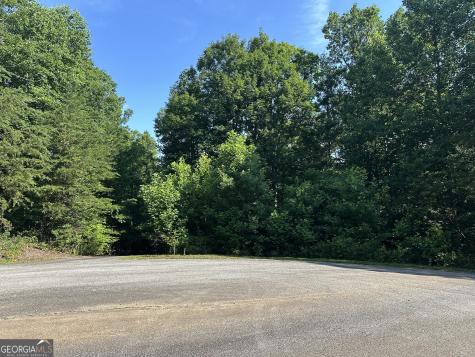 Lot 6,7,8,9,10 Clearview Drive Cleveland GA 30528