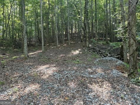 Lot 6,7,8,9,10 Clearview Drive Cleveland GA 30528