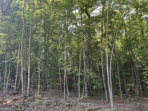 Lot 6,7,8,9,10 Clearview Drive Cleveland GA 30528