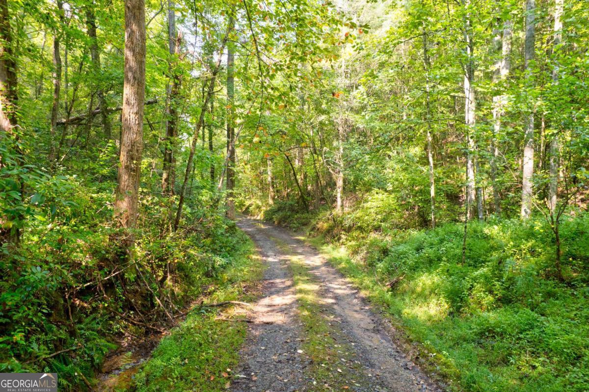 21AC Charles Road Ellijay GA 30540