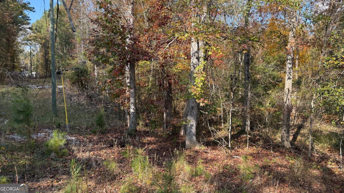 618 S Steel Bridge Road Eatonton GA 31024