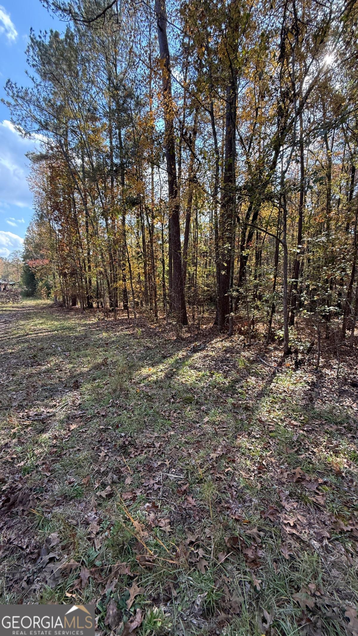 618 S Steel Bridge Road Eatonton GA 31024