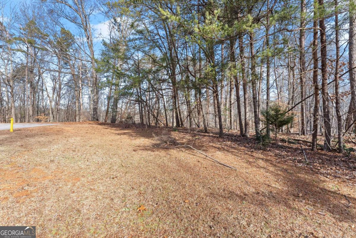 3522 Lighthouse Lane Gainesville GA 30504