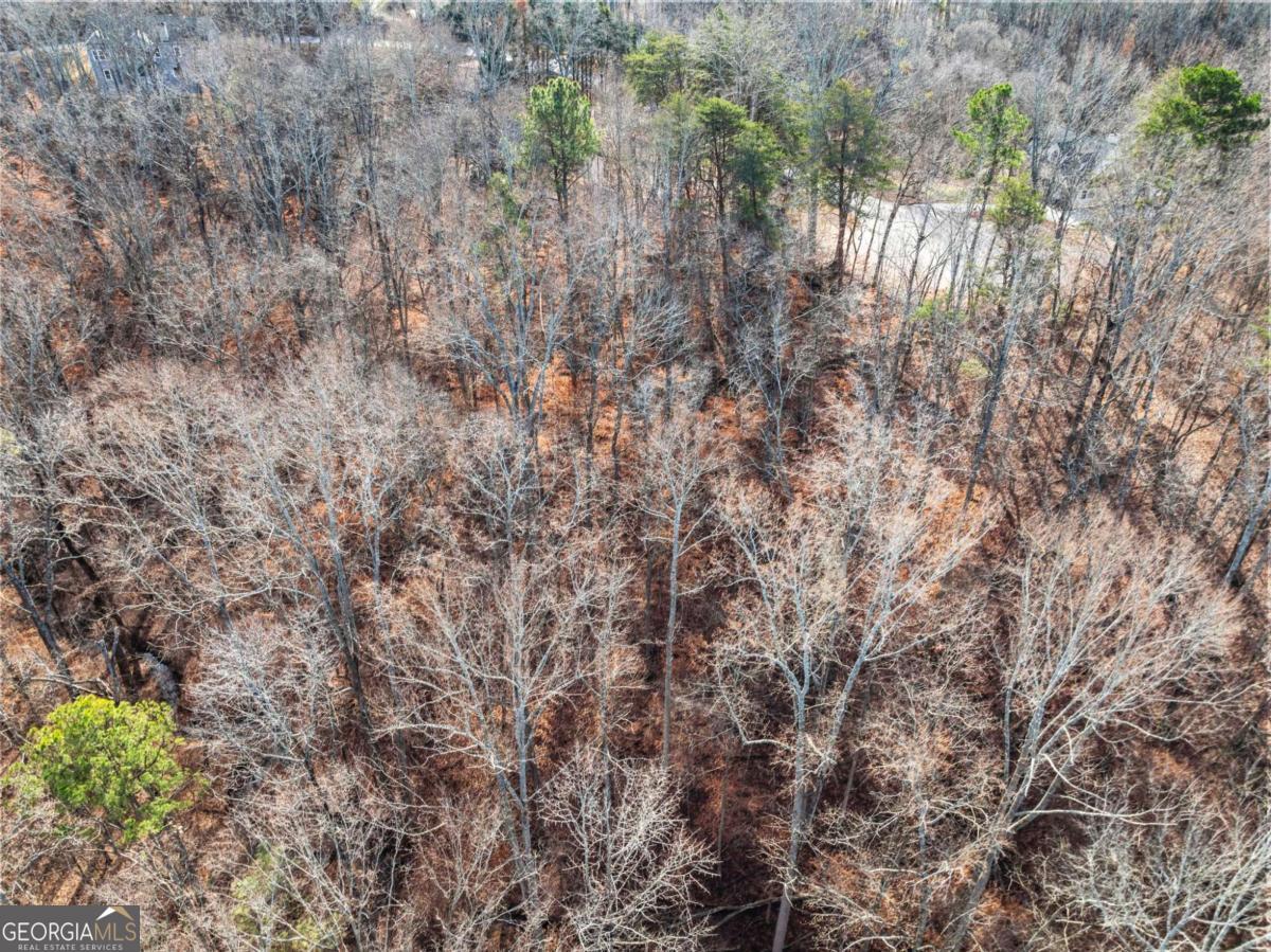 3522 Lighthouse Lane Gainesville GA 30504