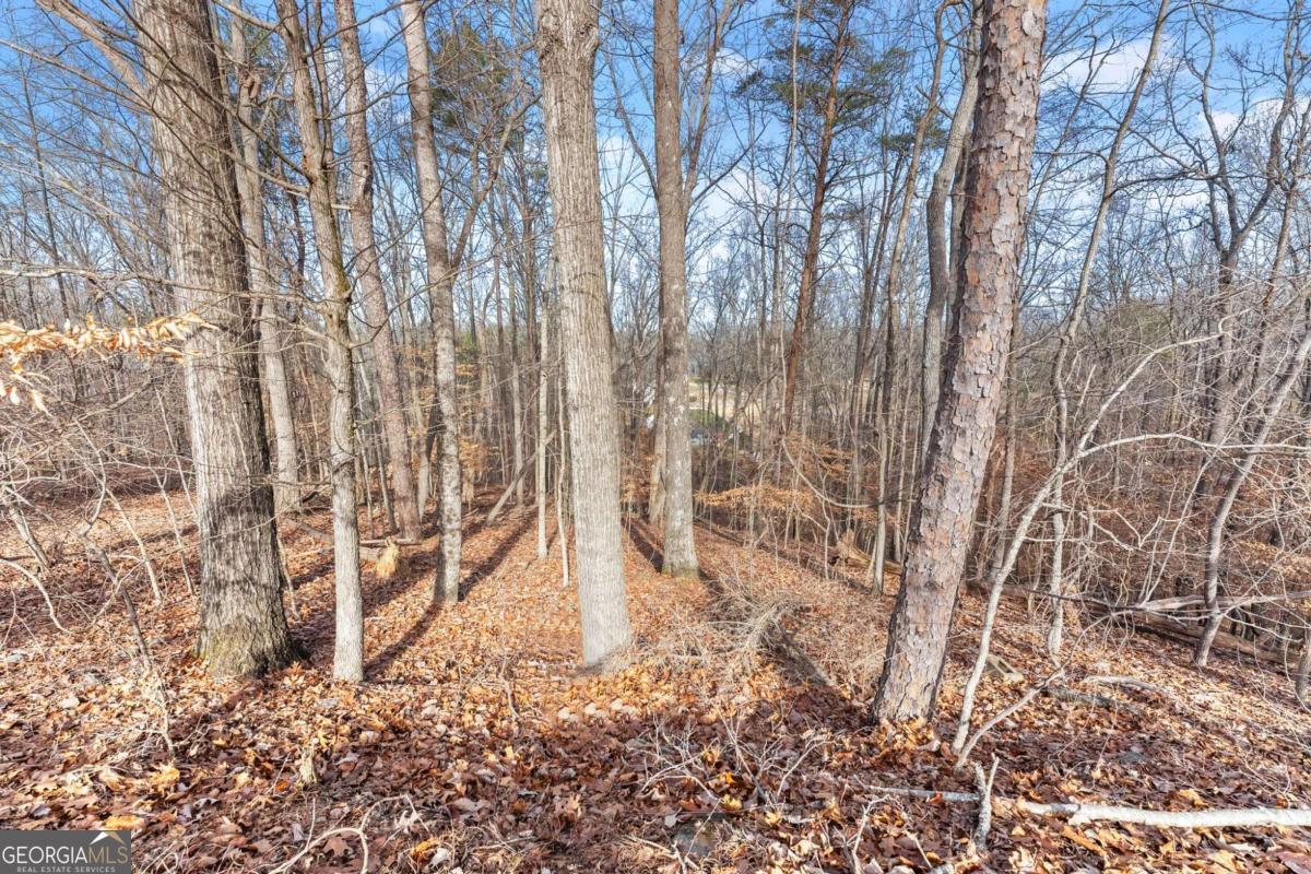 3522 Lighthouse Lane Gainesville GA 30504