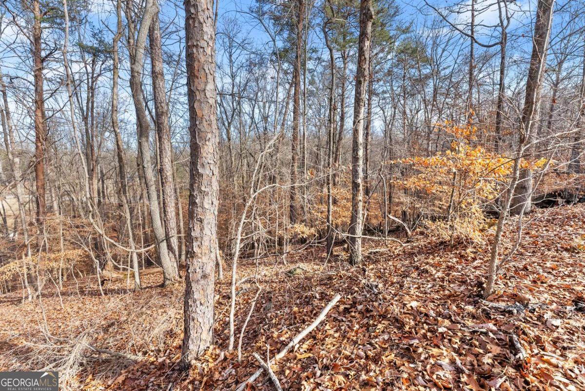 3522 Lighthouse Lane Gainesville GA 30504