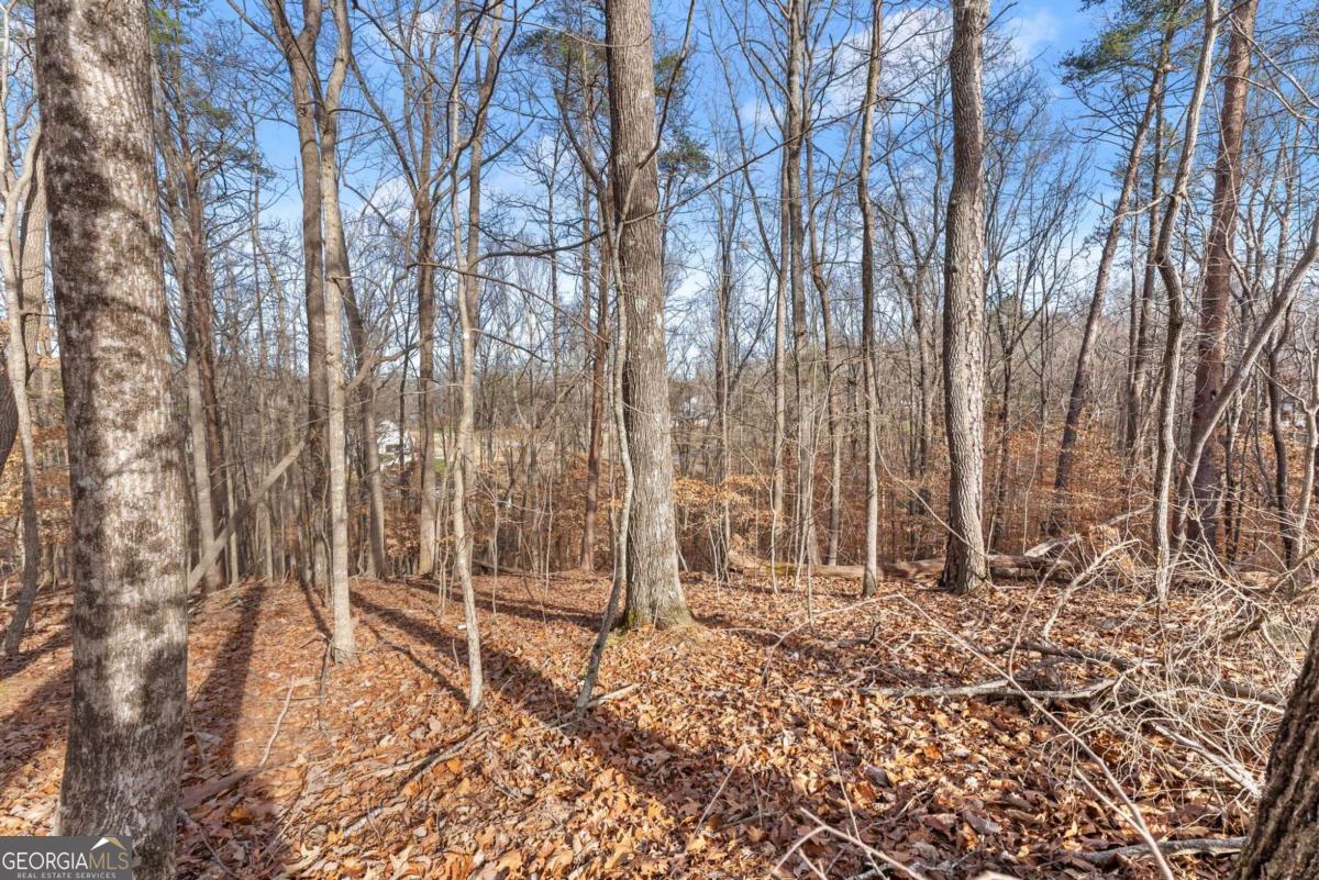 3522 Lighthouse Lane Gainesville GA 30504