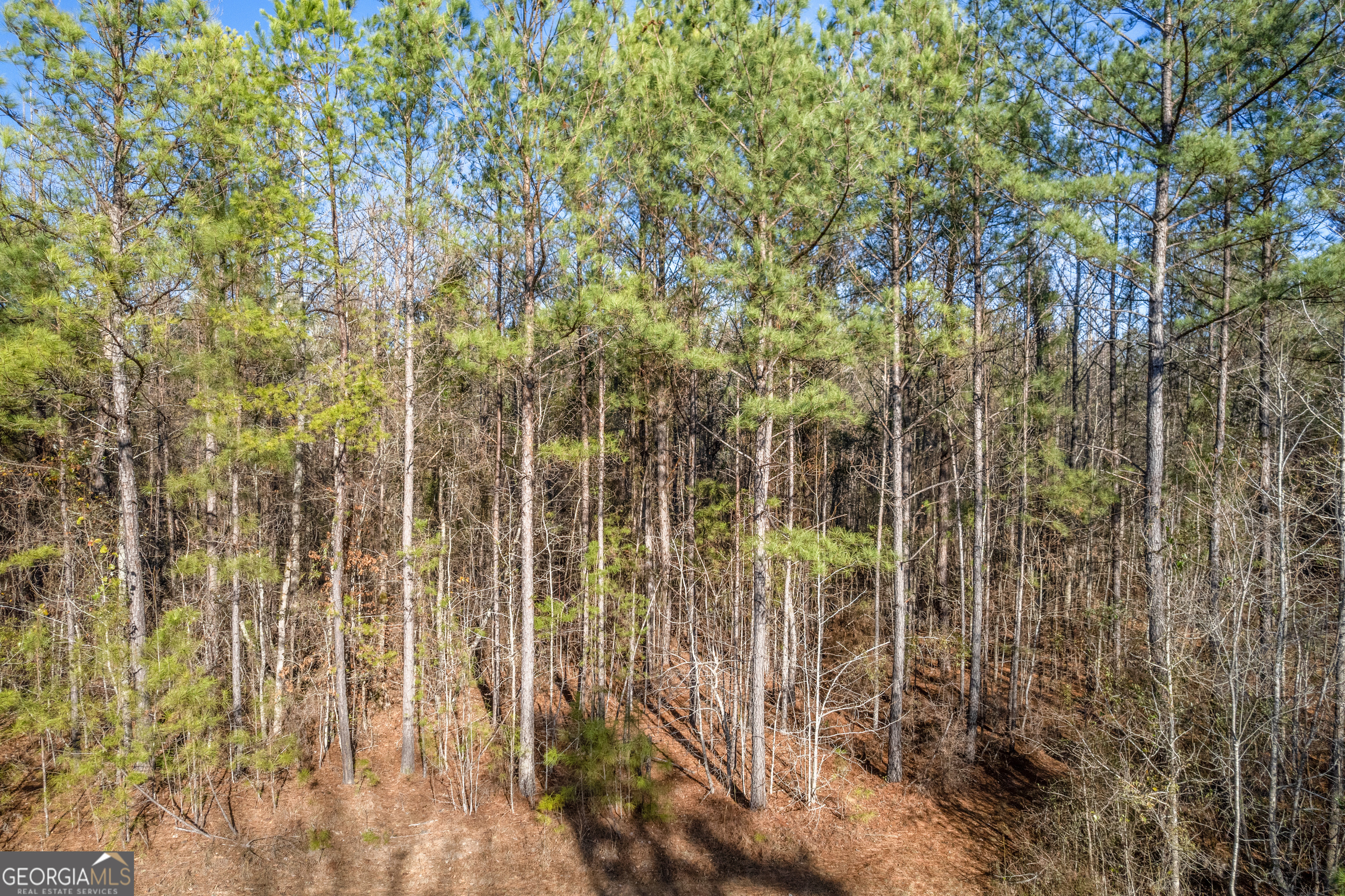 119 Sibley Road NE Milledgeville GA 31061