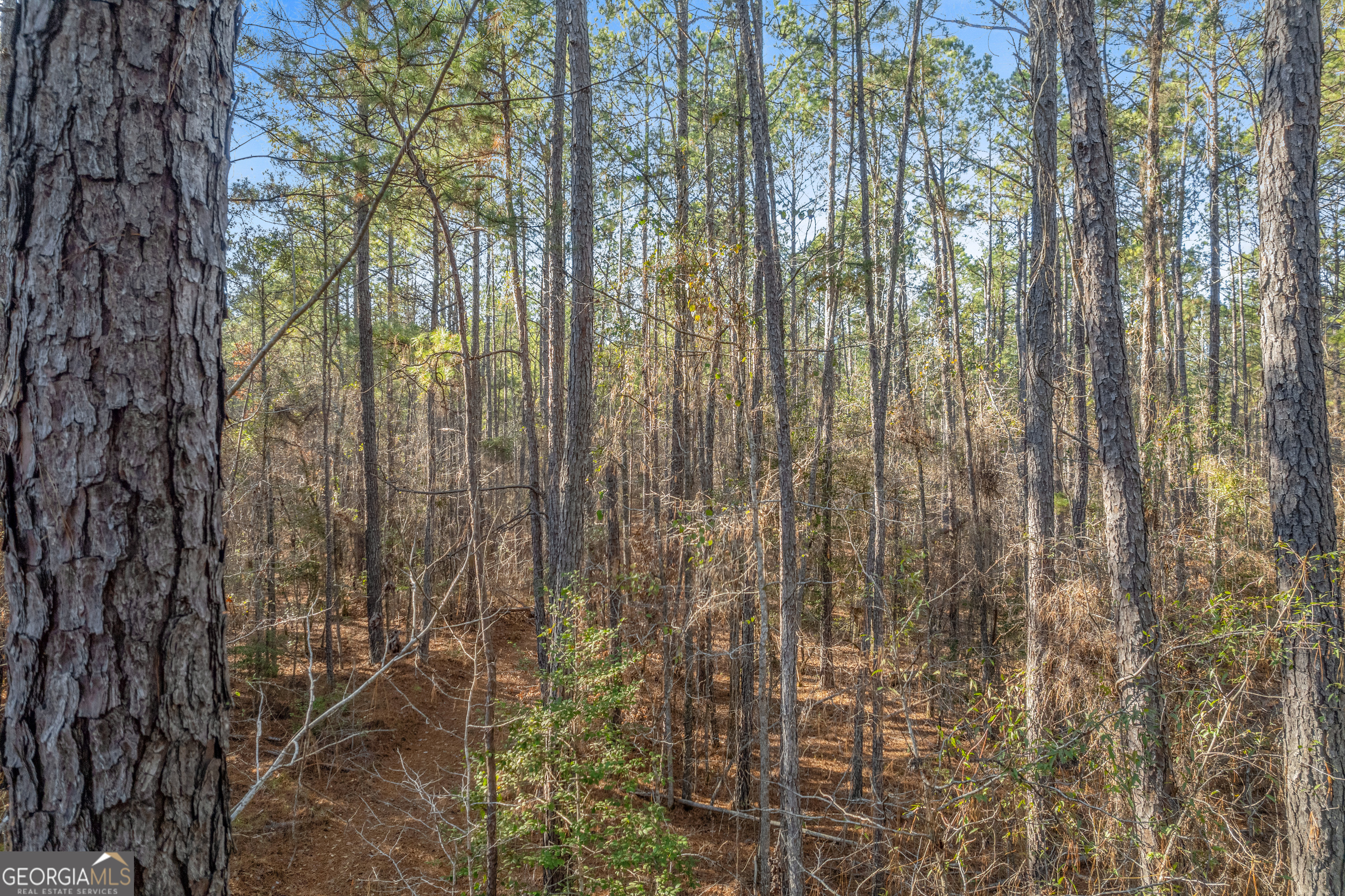 119 Sibley Road NE Milledgeville GA 31061