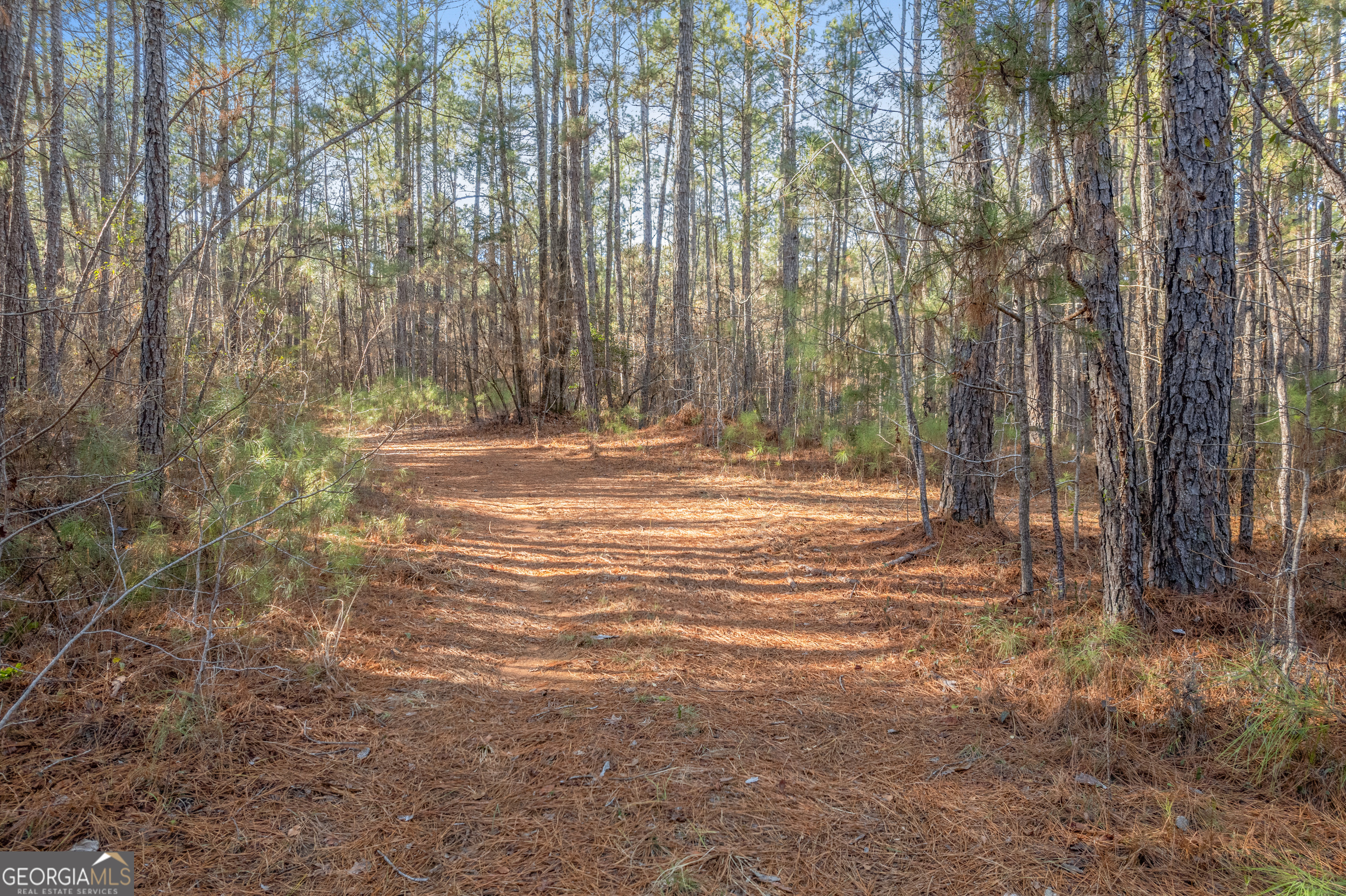 119 Sibley Road NE Milledgeville GA 31061