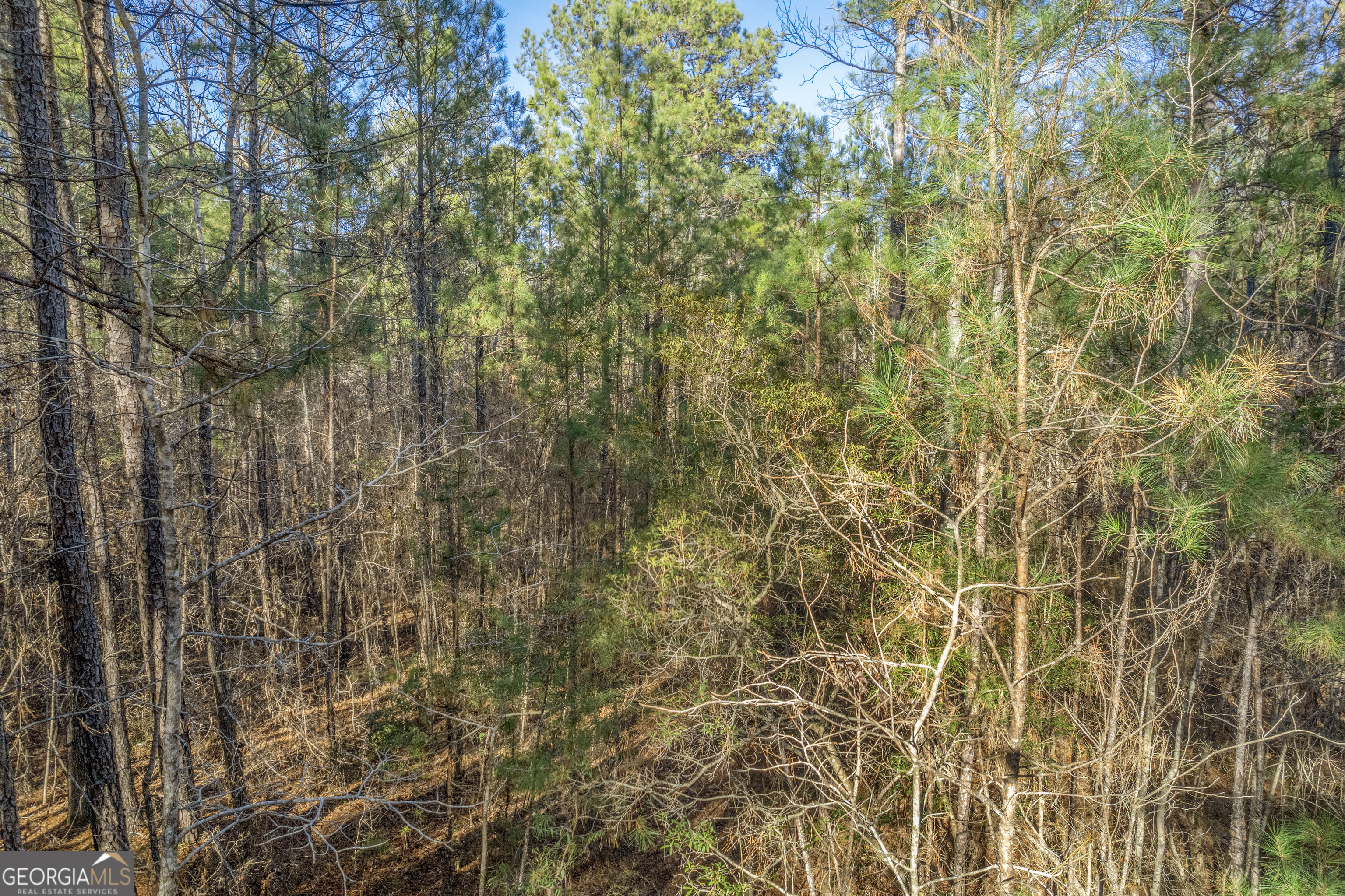 119 Sibley Road NE Milledgeville GA 31061