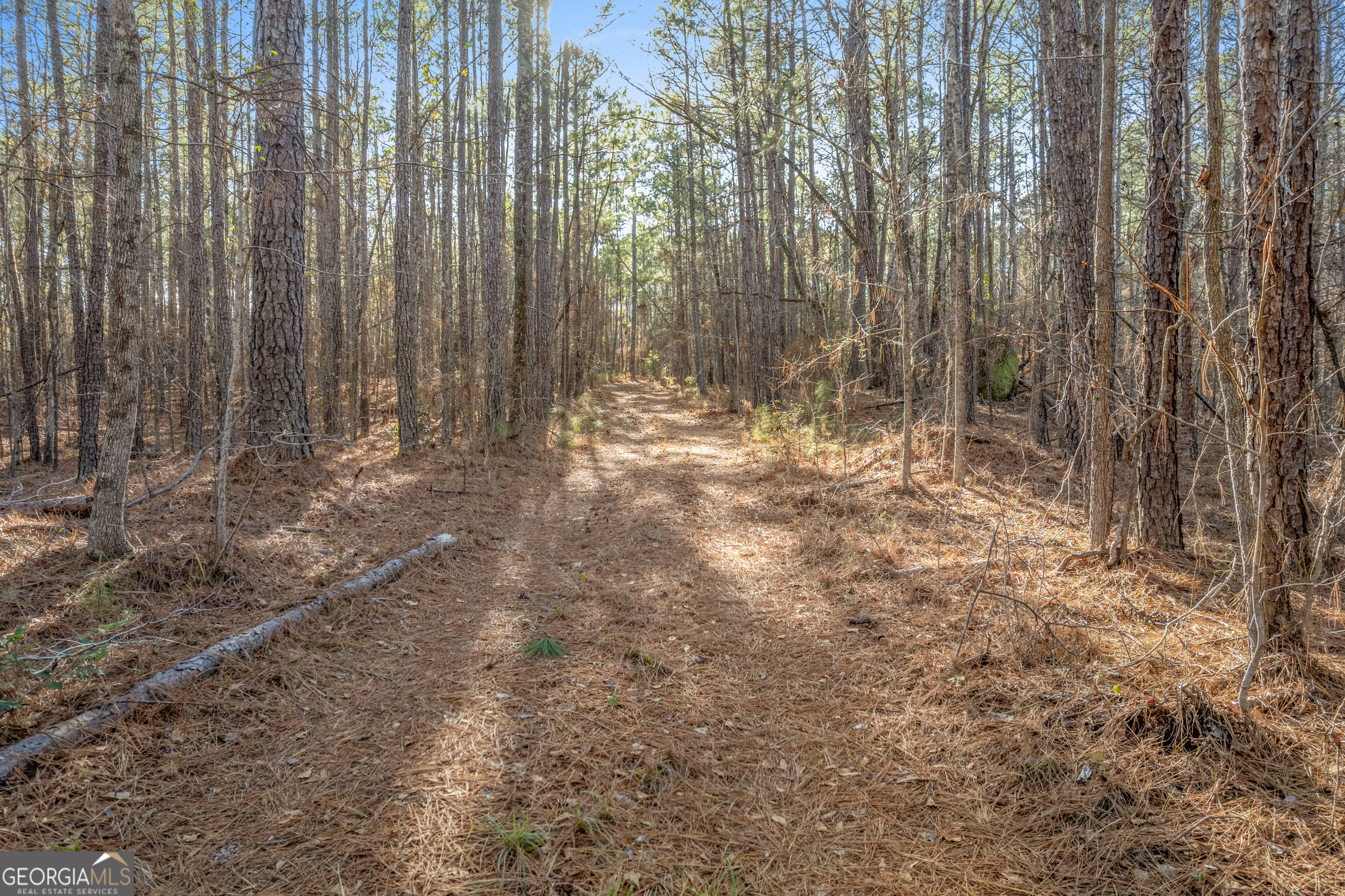 119 Sibley Road NE Milledgeville GA 31061