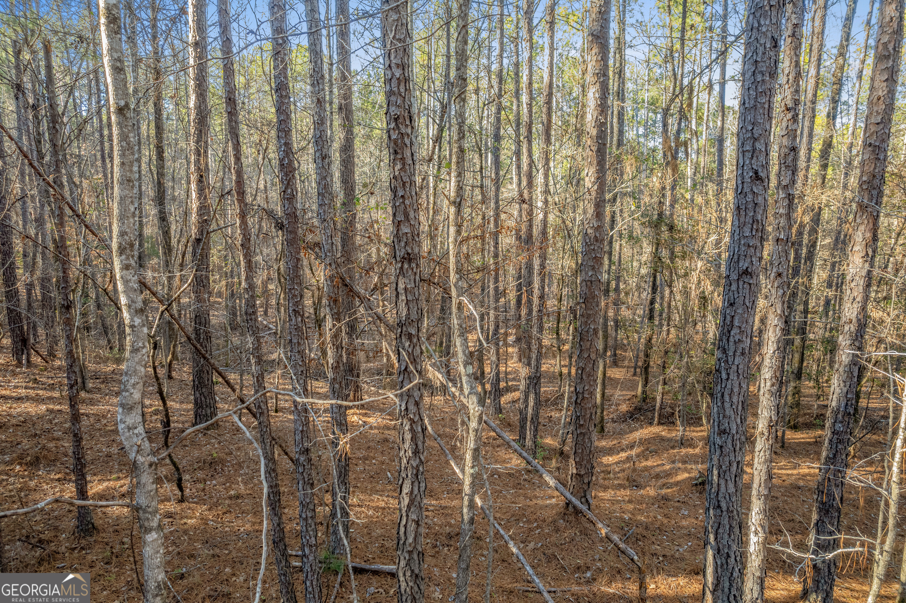 119 Sibley Road NE Milledgeville GA 31061